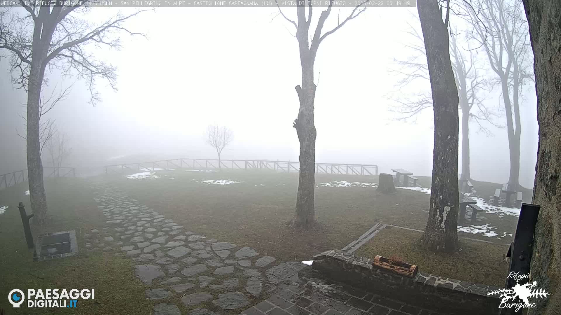 A stone path winds through a foggy, grassy area with bare trees and several picnic tables.