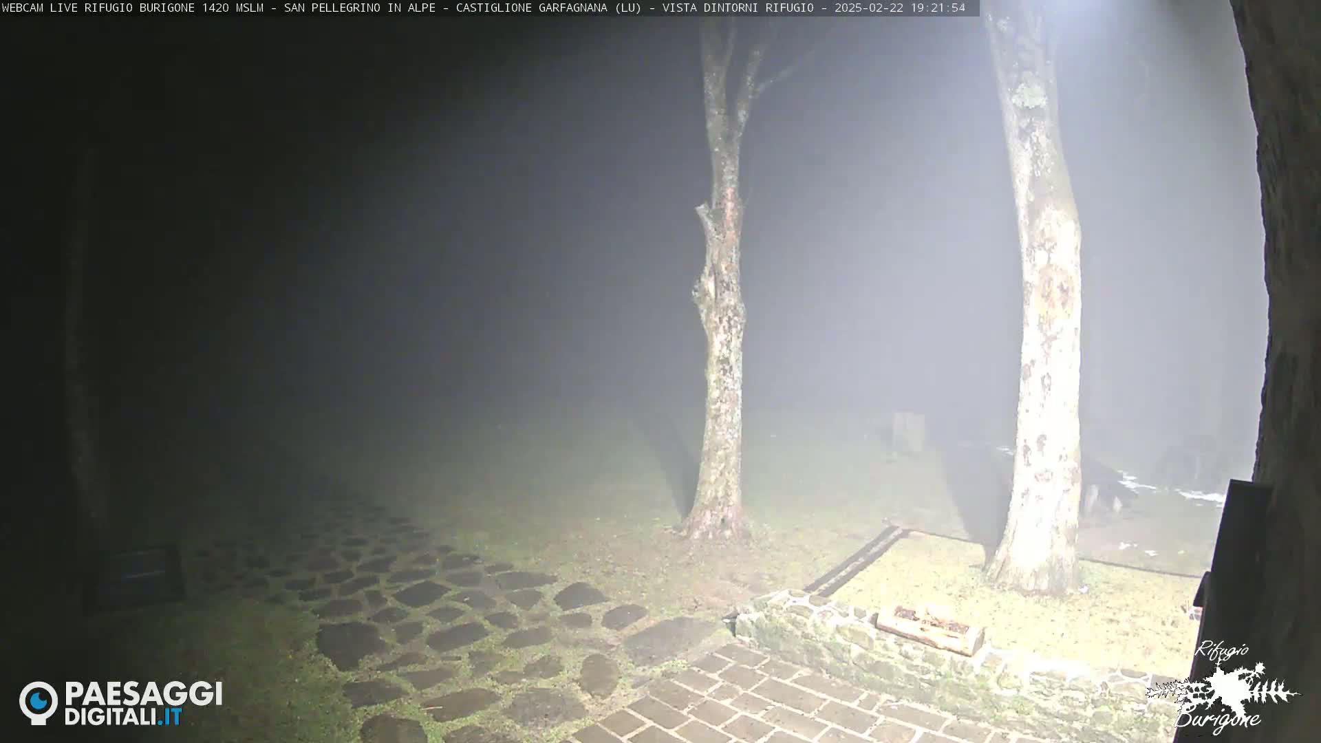 A nighttime, foggy scene shows a stone path and two trees near a low stone wall.
