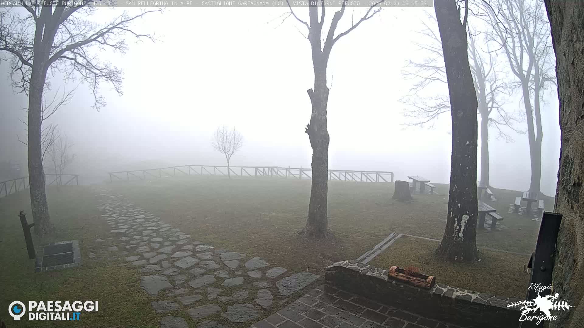 A stone path winds through a foggy grassy area with several picnic tables and bare trees under a thick fog.