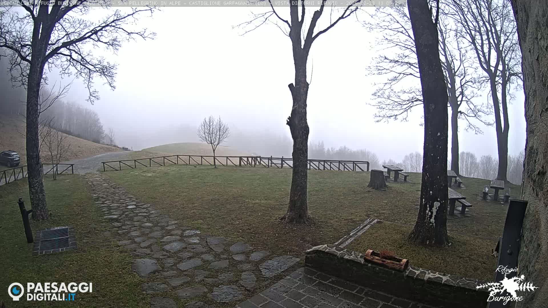 A stone path leads to a grassy area with picnic tables under a foggy sky, surrounded by bare trees and a wooden fence.