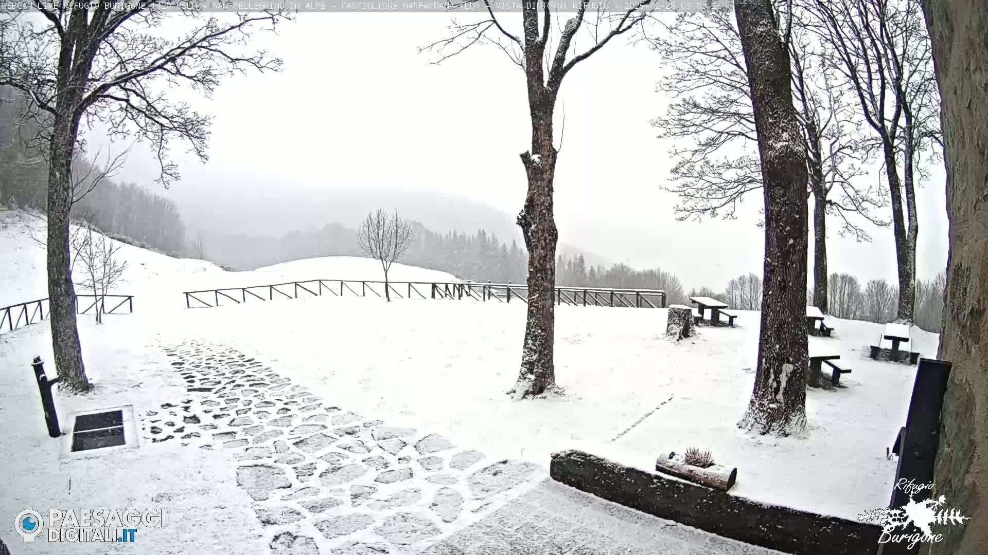 A snow-covered stone path leads to a snowy area with bare trees, picnic tables, and a low stone wall, all set against a foggy hillside.