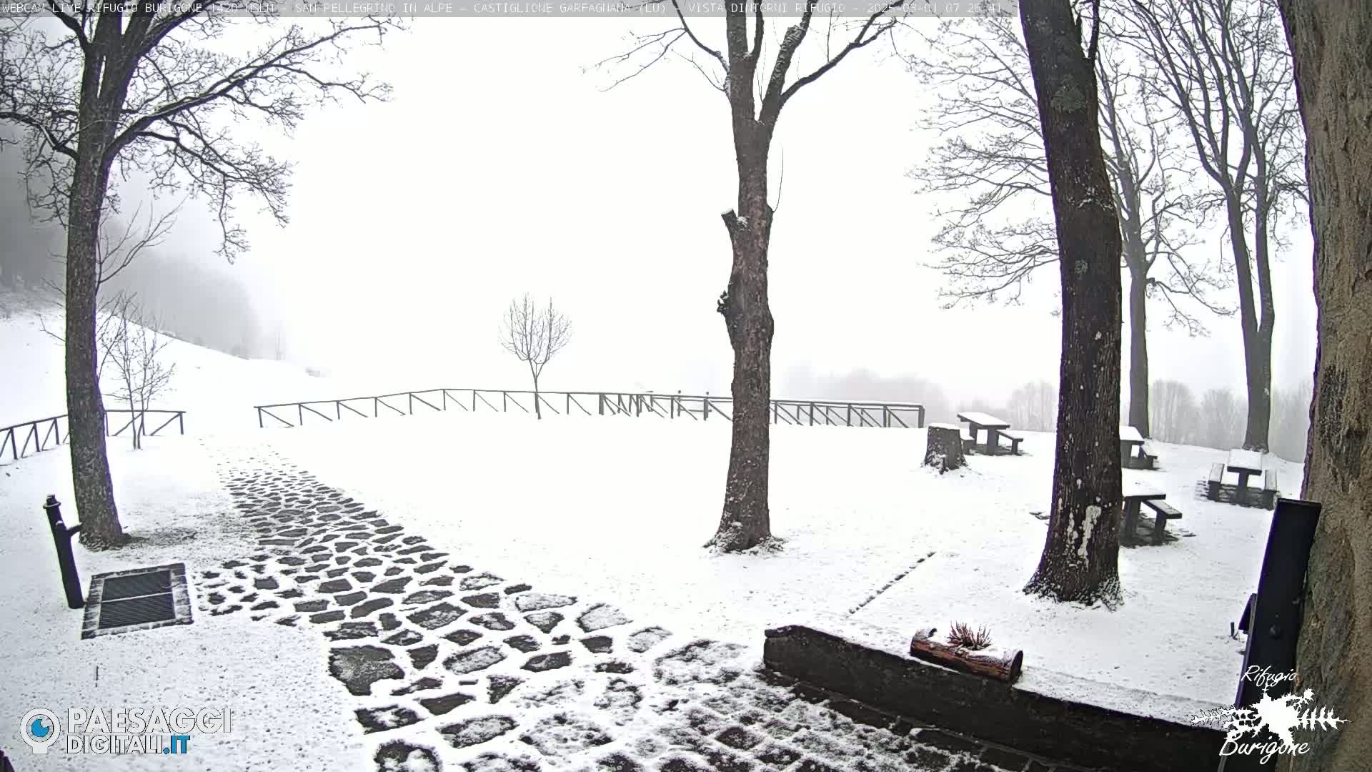 A snow-covered stone path leads to picnic tables and trees in a foggy, snowy landscape.