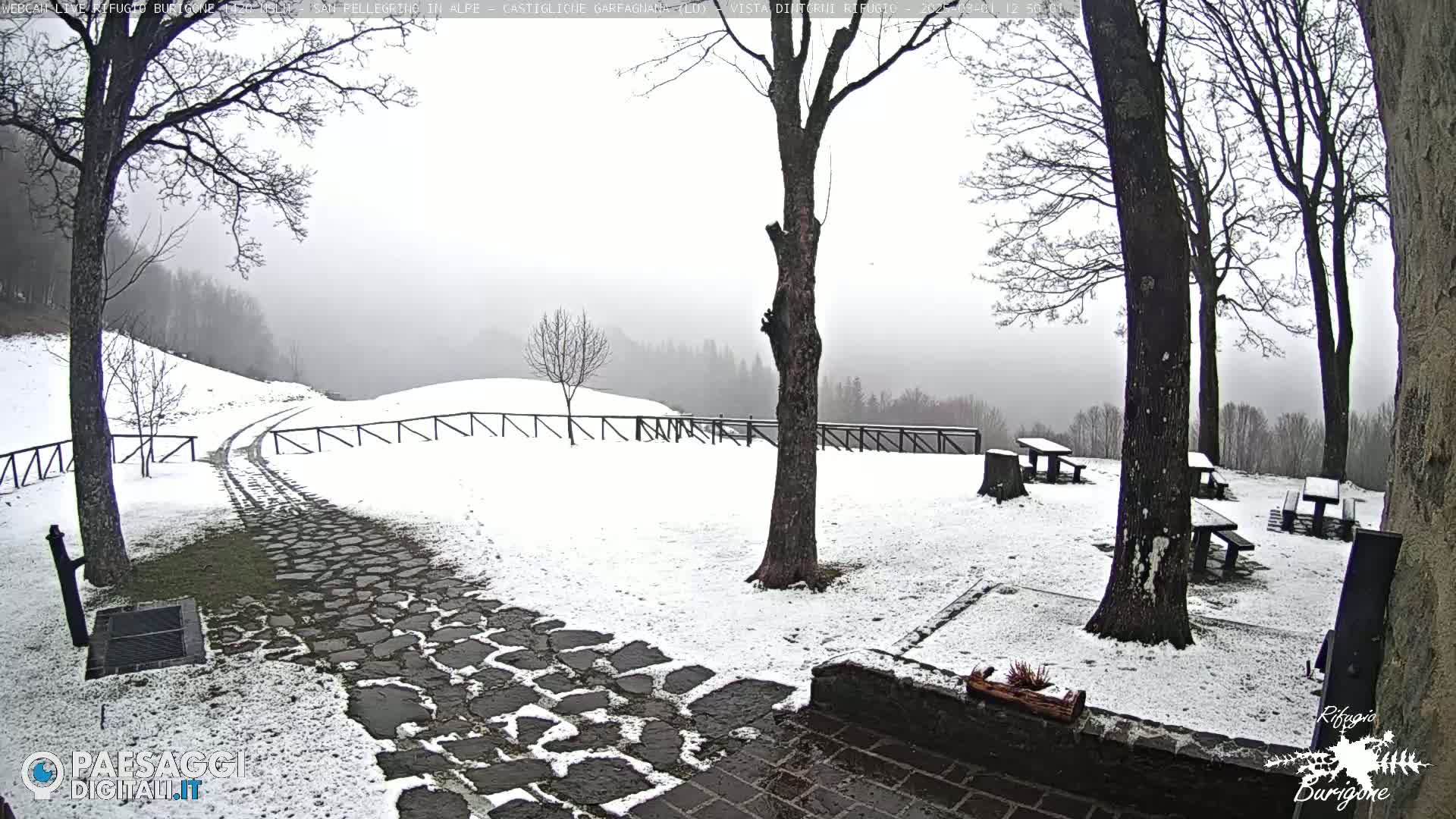 A snow-covered stone path leads to picnic tables beneath bare trees in a foggy landscape.