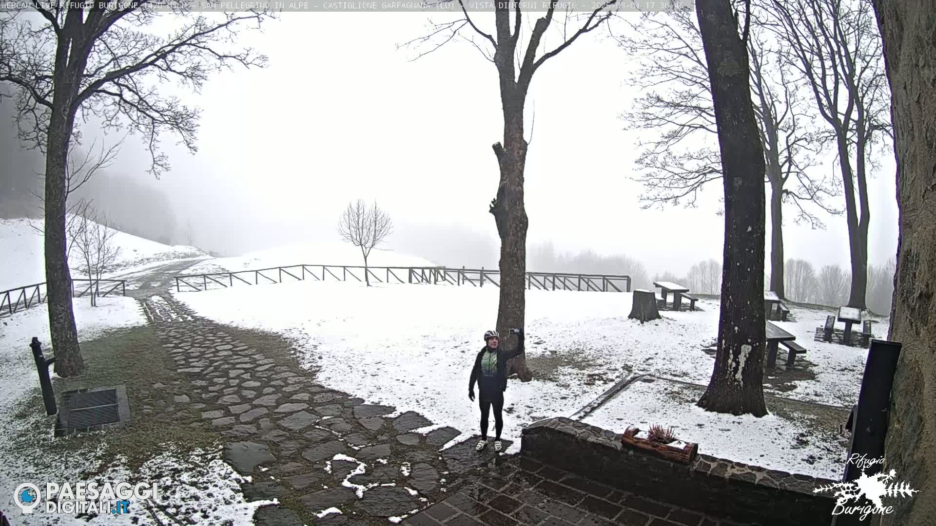 A person stands on a snow-covered stone path near picnic tables and trees in foggy conditions.
