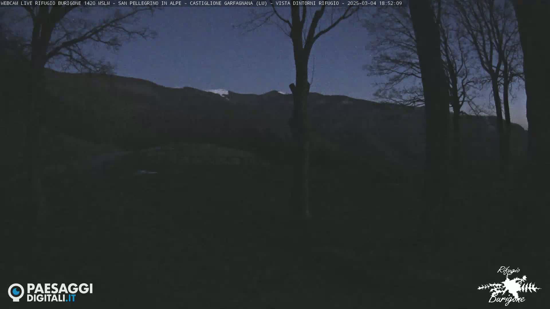 A dark, nighttime scene shows bare trees silhouetted against a twilight sky and a mountain range with a dusting of snow in the distance.