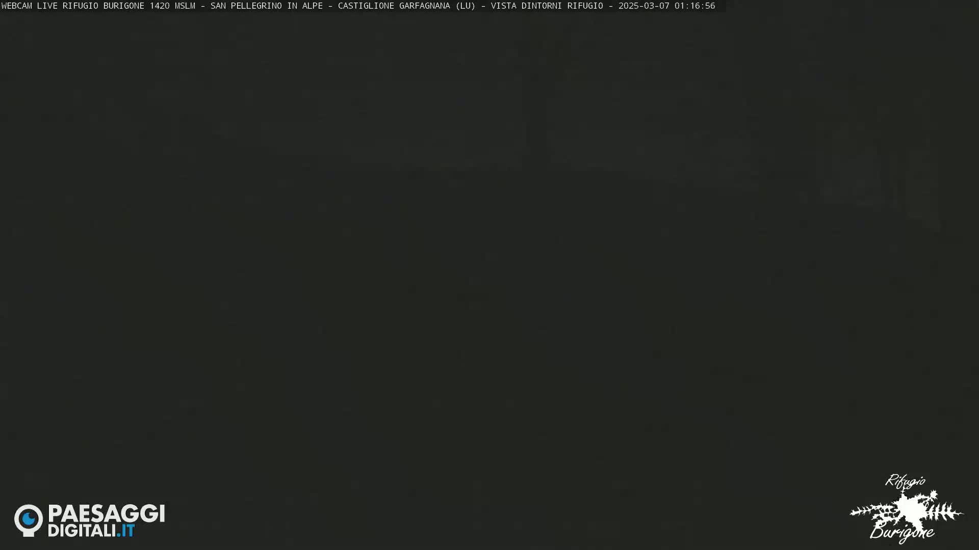 A dark, nighttime image shows an obscured view of an outdoor scene.