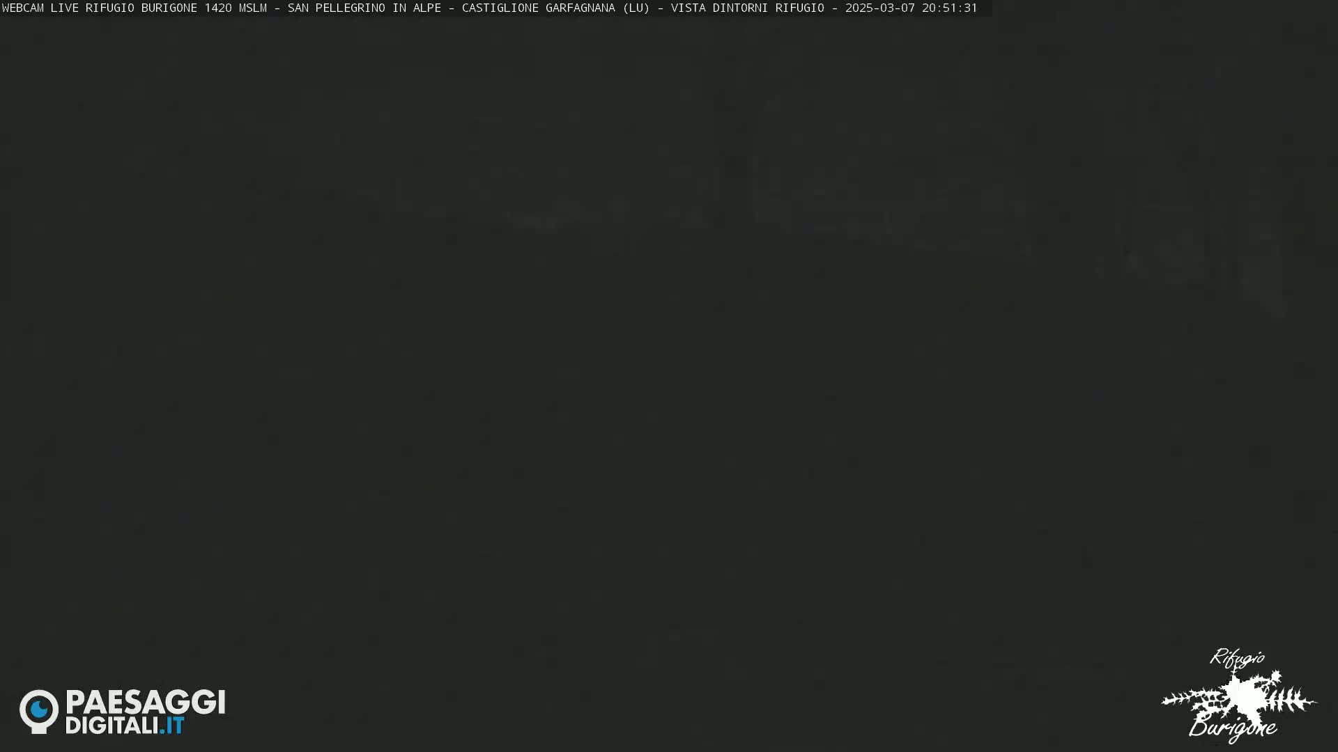 A very dark, mostly featureless image of an outdoor nighttime scene.
