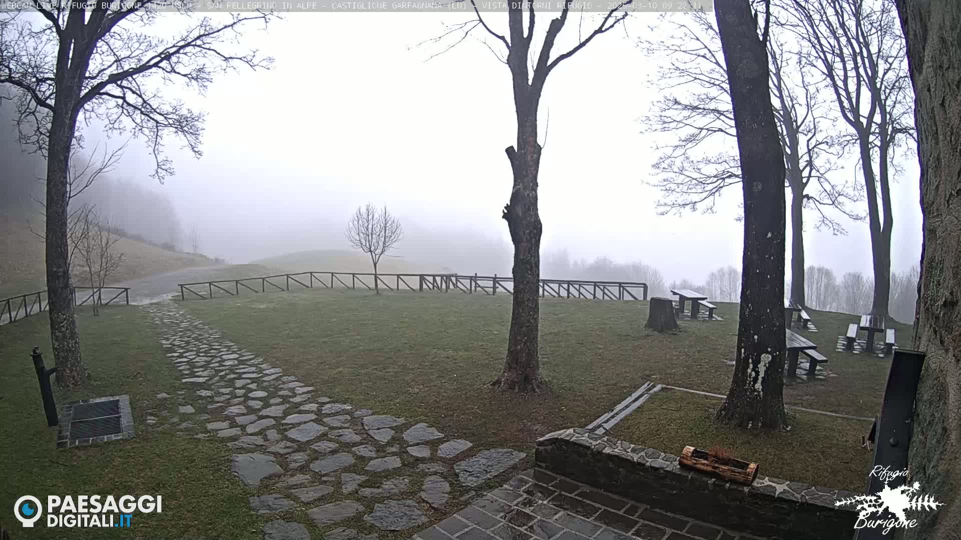 A stone path leads to picnic tables under bare trees in a foggy outdoor setting.