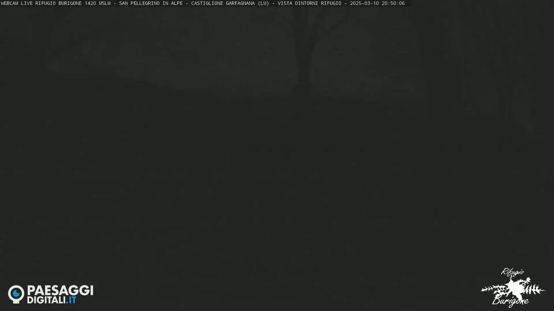 A dark, nighttime outdoor scene with a barely visible tree in the center.