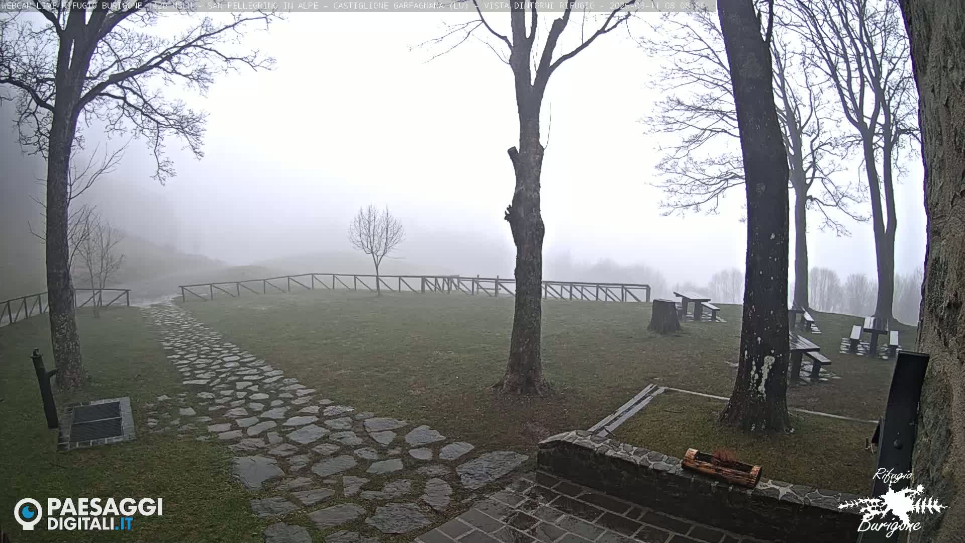 A stone path leads to picnic tables and bare trees in a misty, outdoor setting.