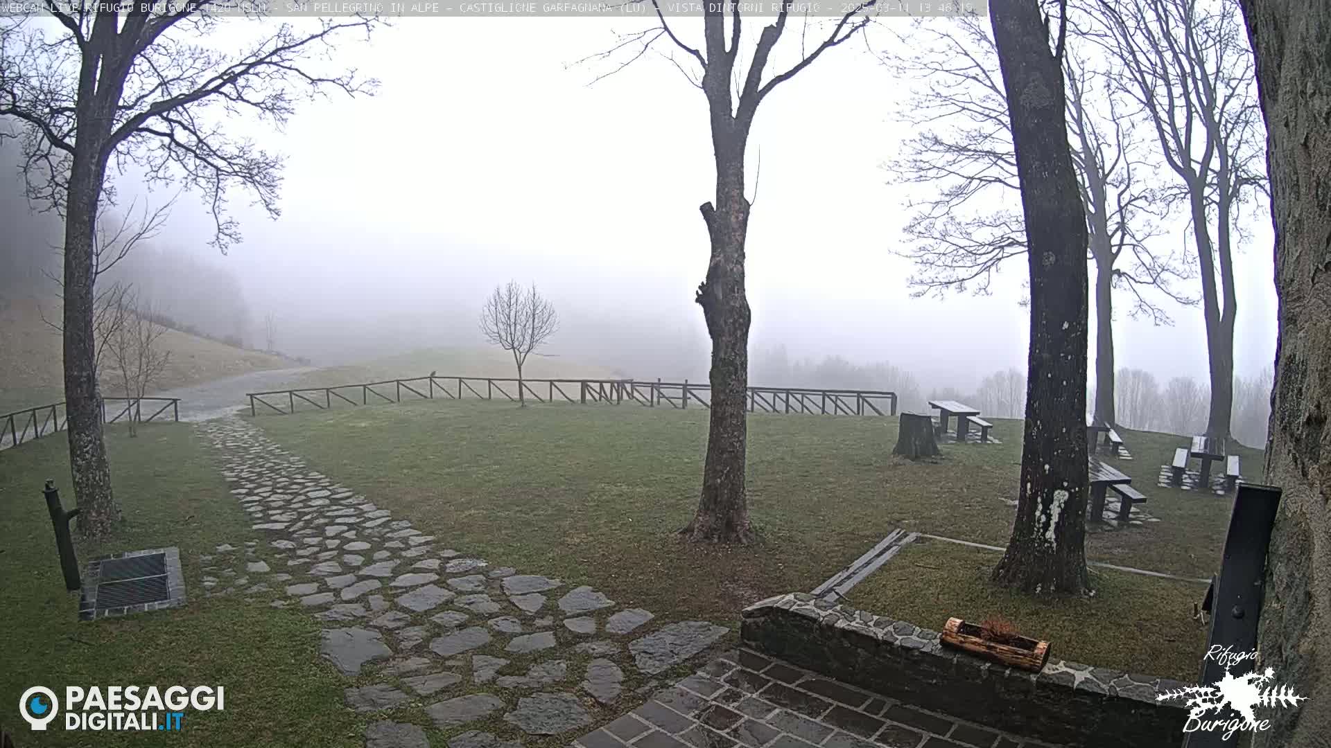 A stone pathway leads to several picnic tables situated in a grassy area surrounded by leafless trees under a foggy sky.