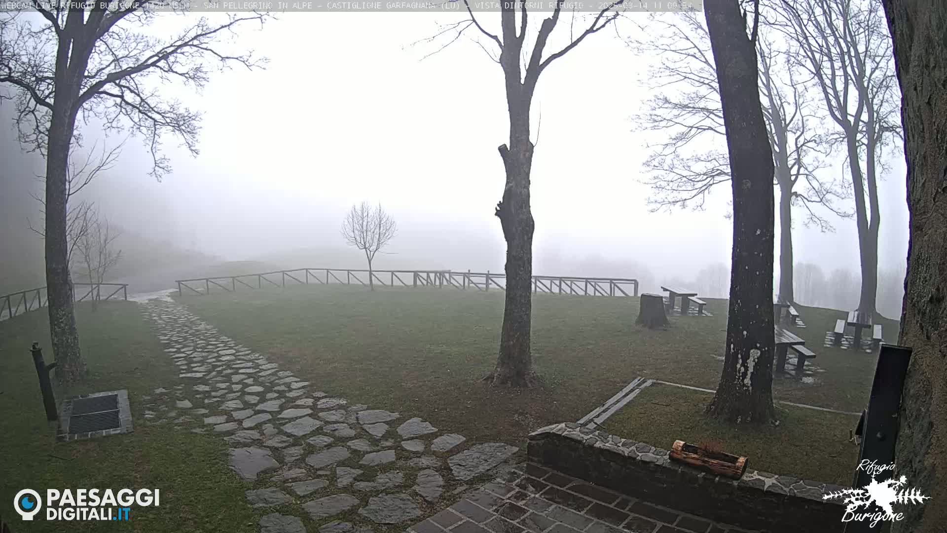 A stone path leads to picnic tables situated in a foggy, grassy area surrounded by leafless trees and a wooden fence.