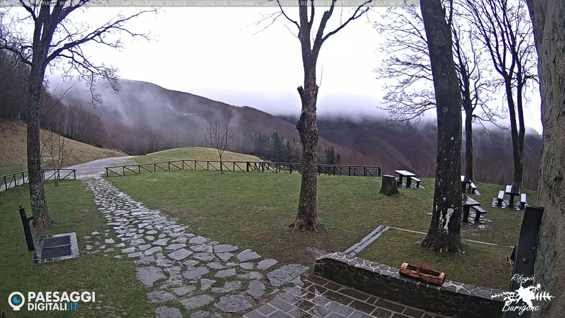 A stone path leads to several picnic tables situated on a grassy area with a background of misty mountains and bare trees.