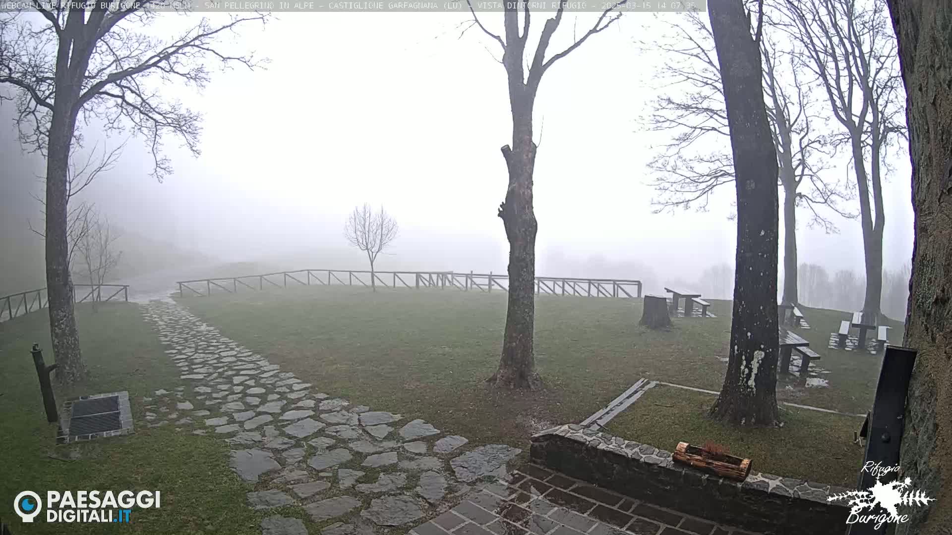 A stone path leads to several picnic tables situated on a grassy area surrounded by bare trees in a foggy landscape.