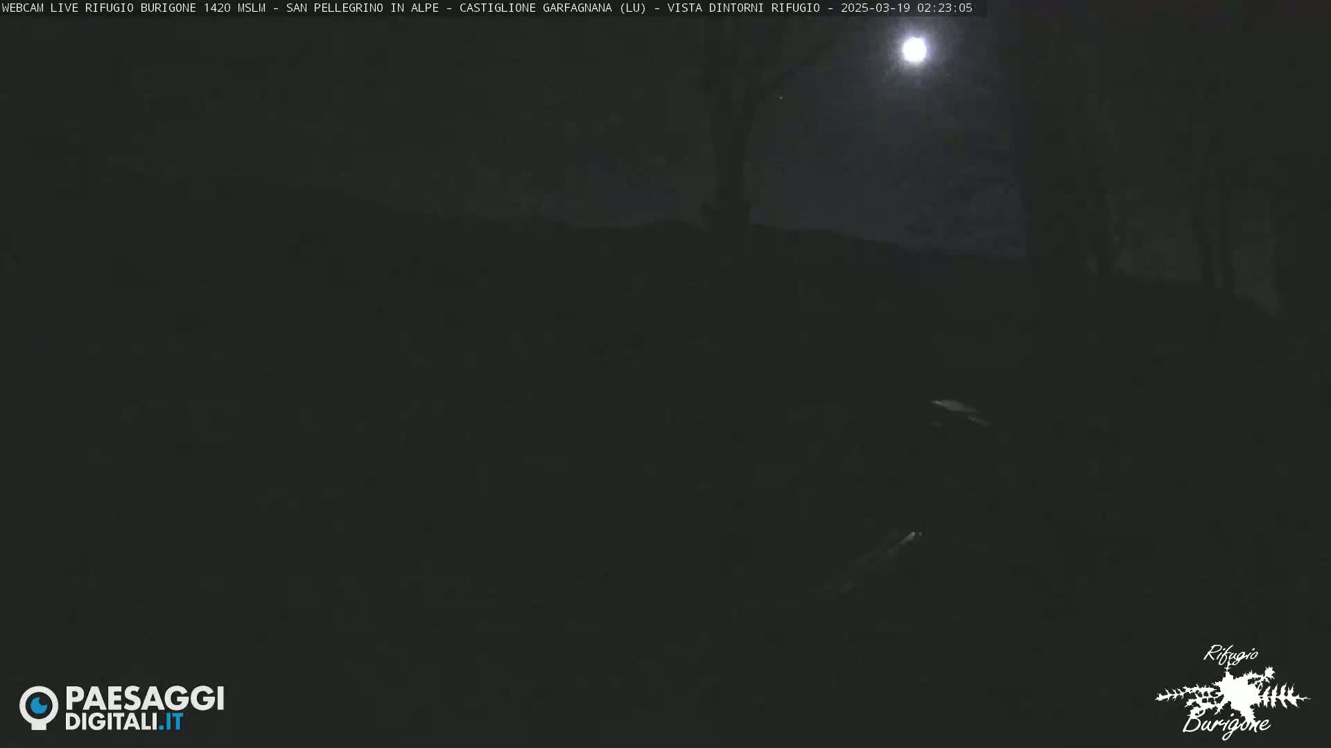 A nighttime, moonlit outdoor scene shows a dark, mostly obscured landscape with some trees visible in the distance.