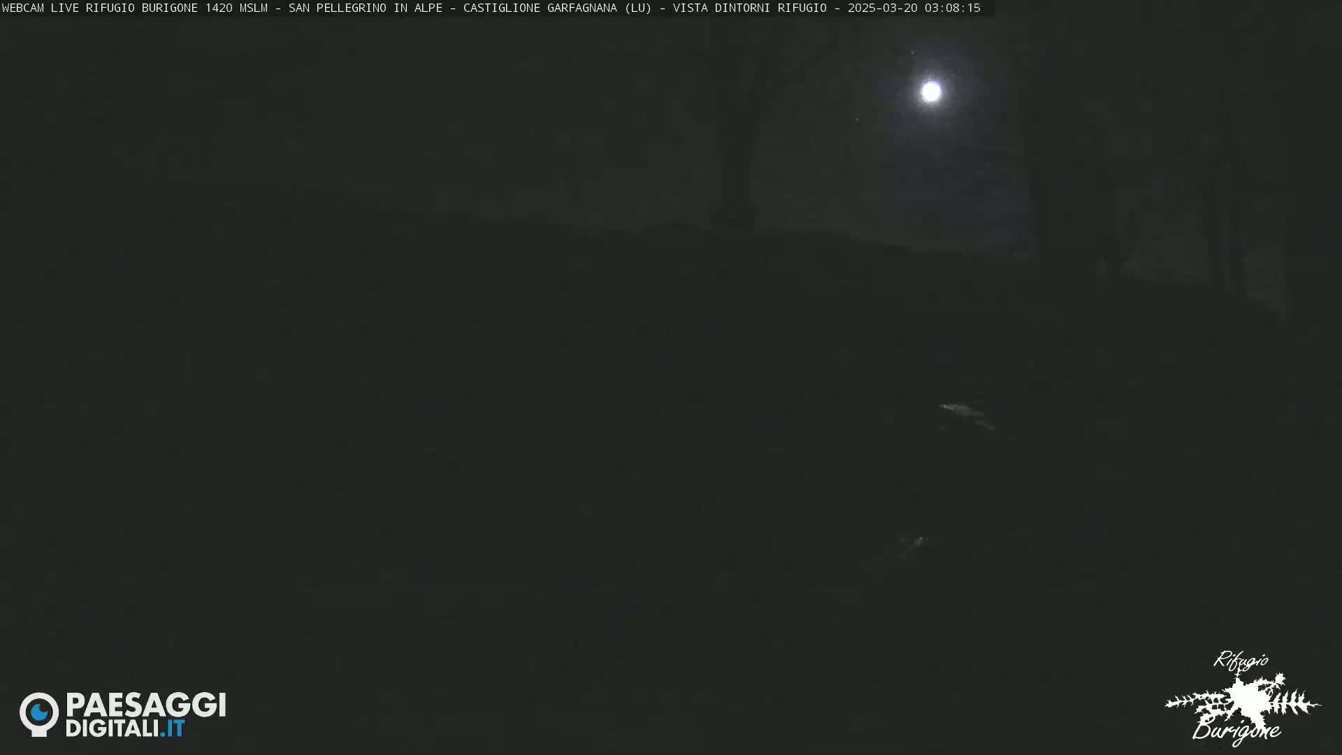 A dark, nighttime outdoor scene shows a mostly obscured landscape under a bright moon.