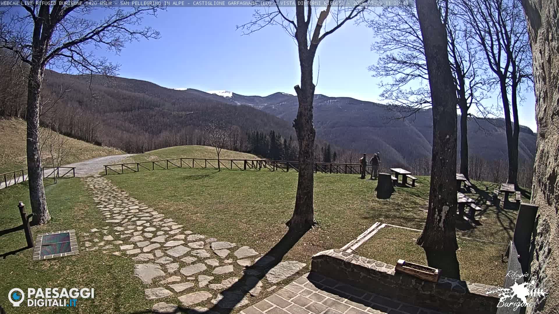 A stone path leads to a grassy area with picnic tables, several bare trees, and a mountain view under a sunny sky.