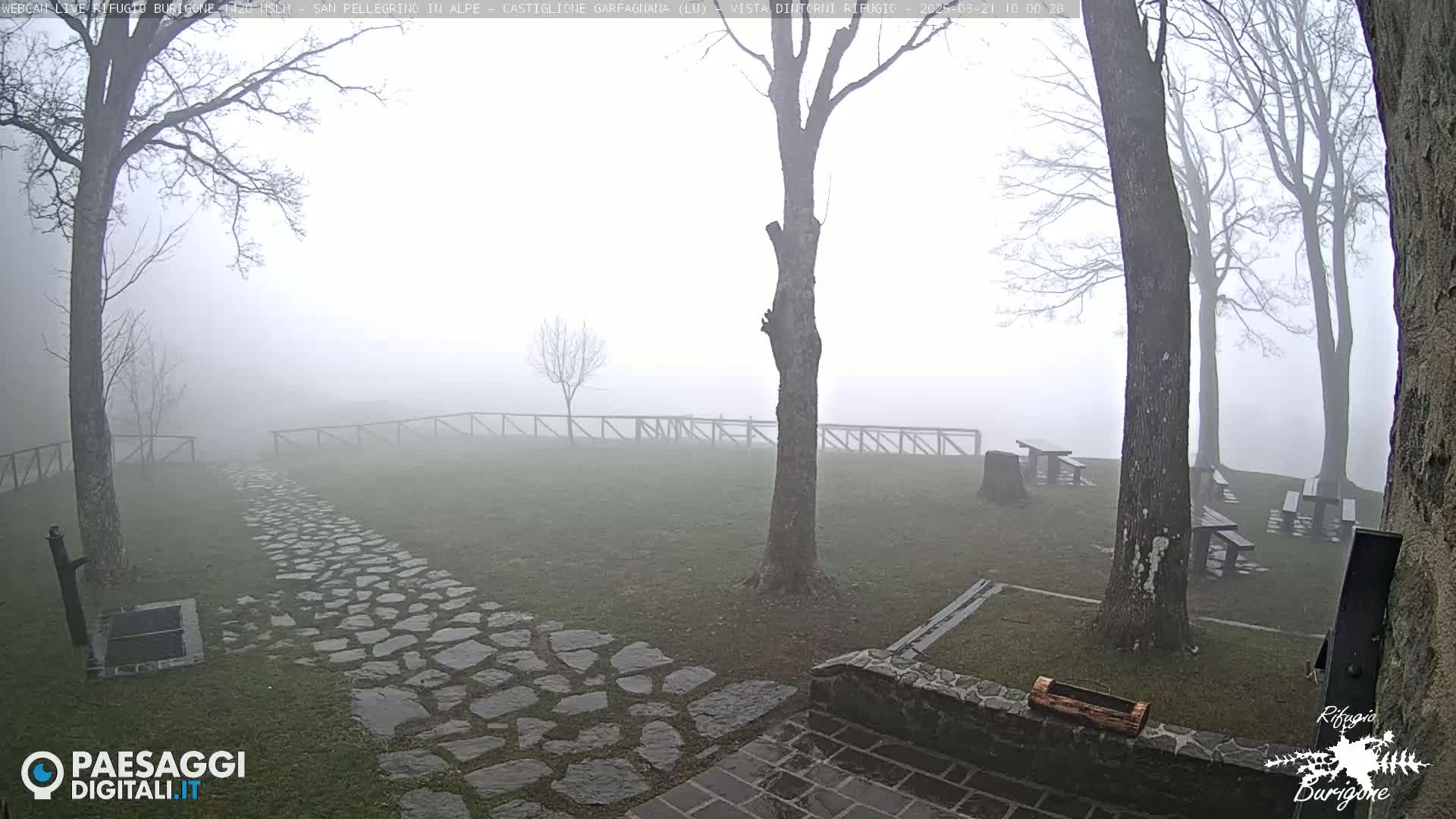 A stone path leads through a foggy, grassy area with several picnic tables and bare trees.