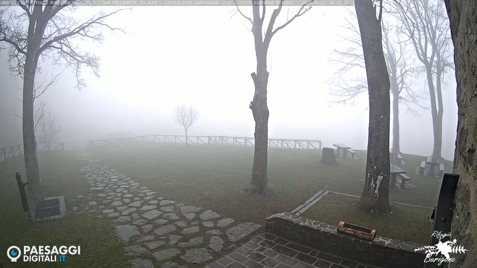 A stone path winds through a foggy, grassy area with several picnic tables and bare trees.
