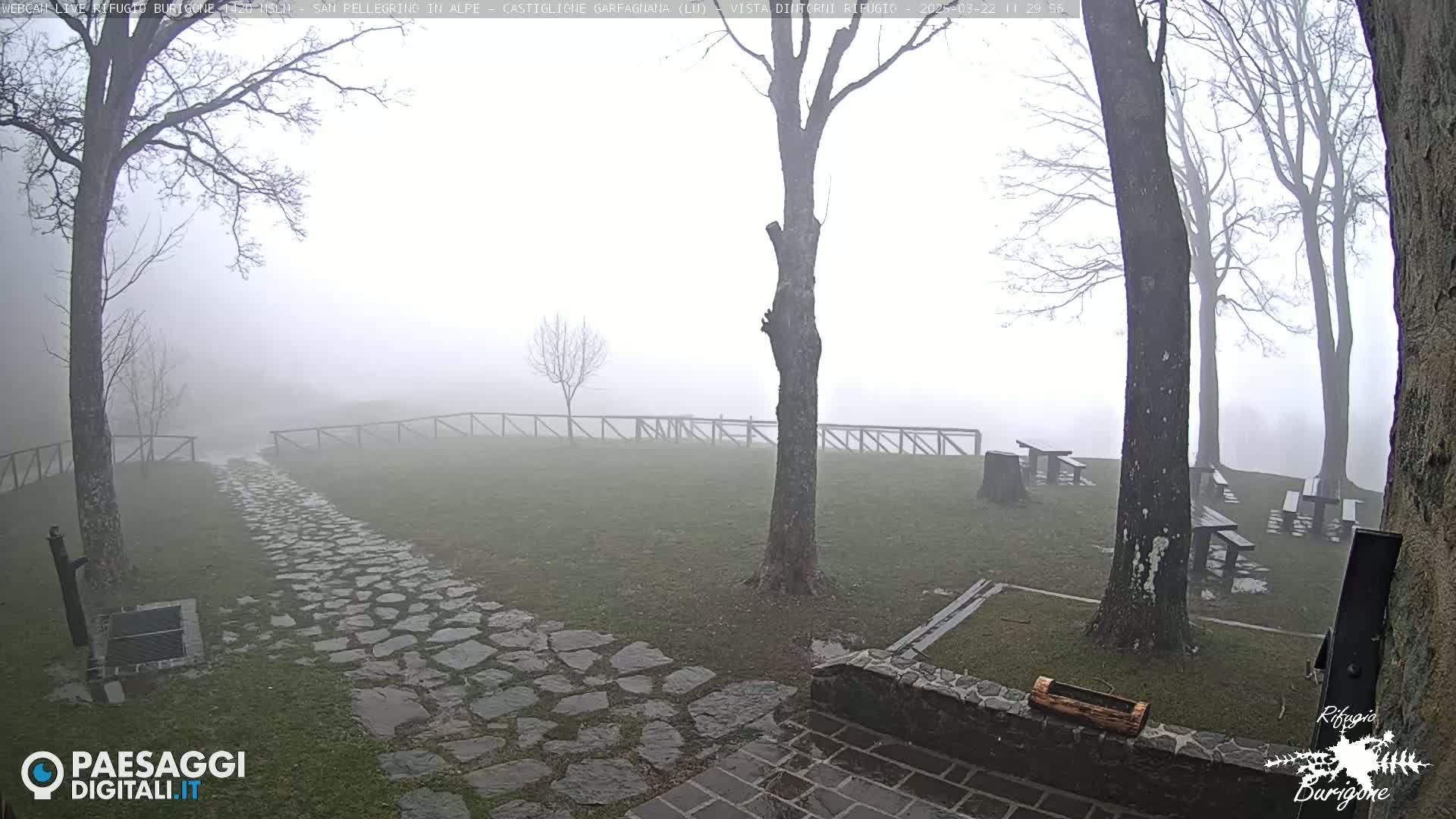 A stone path leads through a foggy, grassy area with several picnic tables and bare trees.