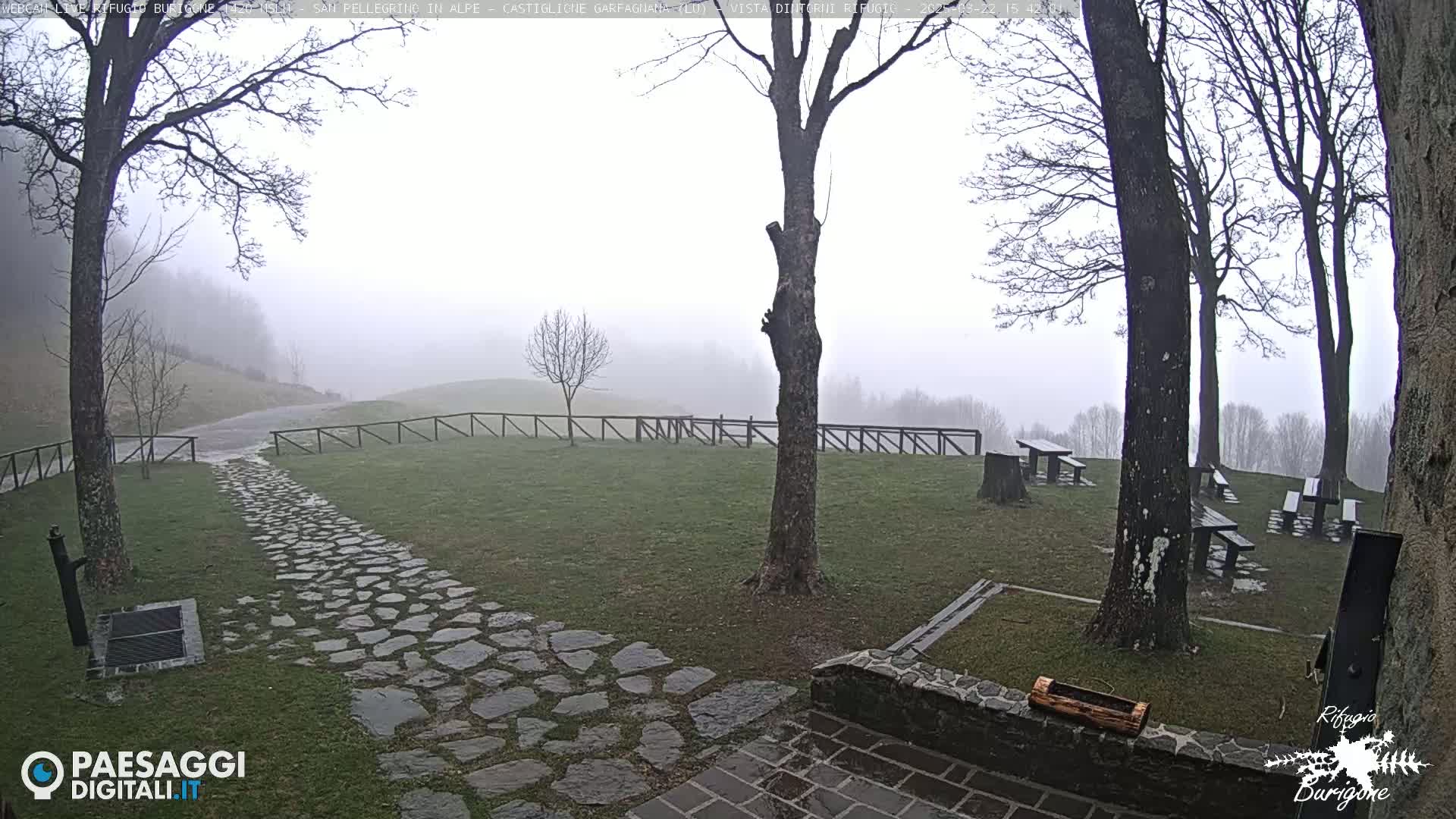 A stone path leads to picnic tables in a misty, grassy area surrounded by bare trees and a wooden fence.