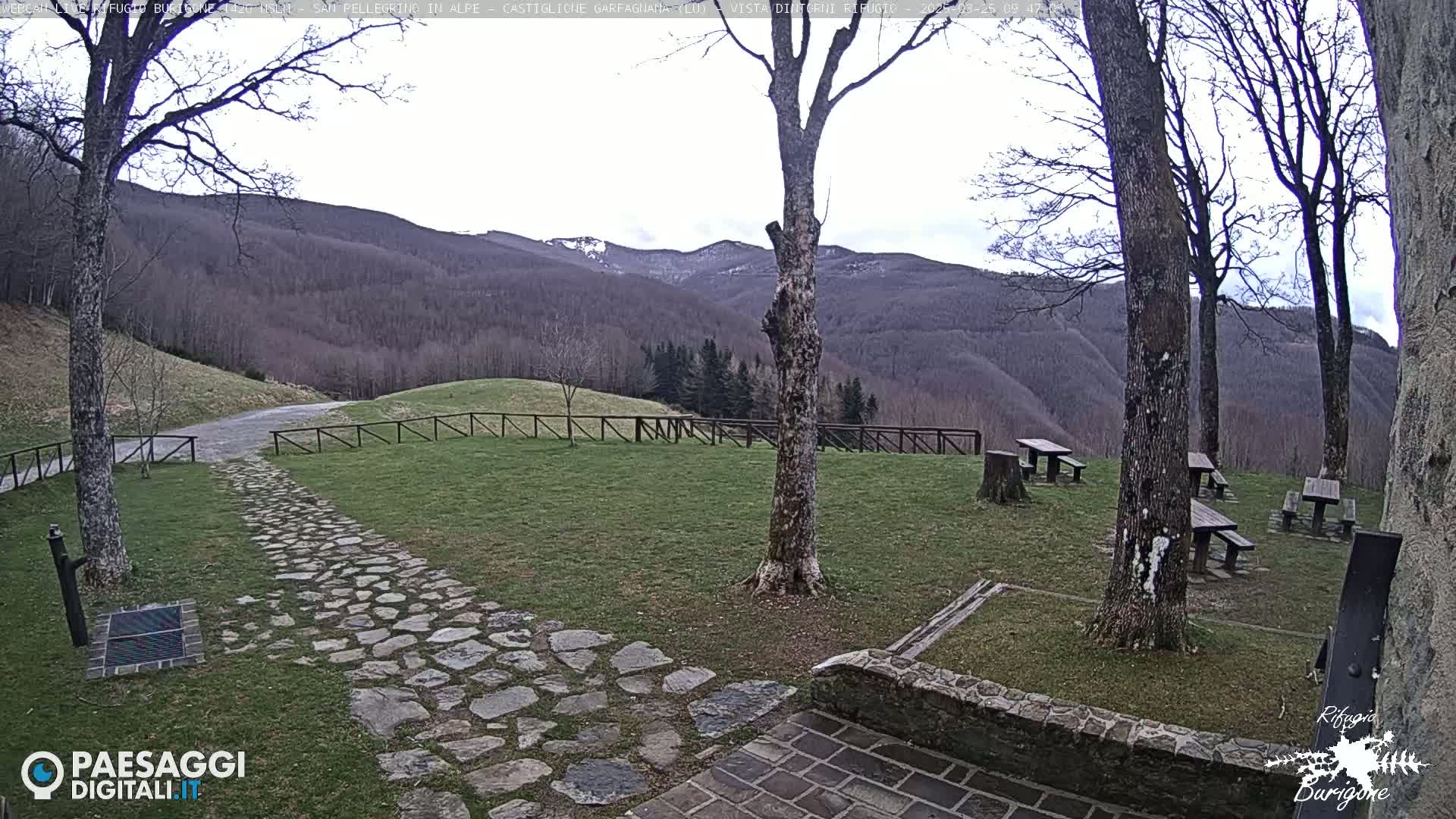 A stone path leads to picnic tables situated on a grassy area overlooking a mountainside with bare trees under a cloudy sky.