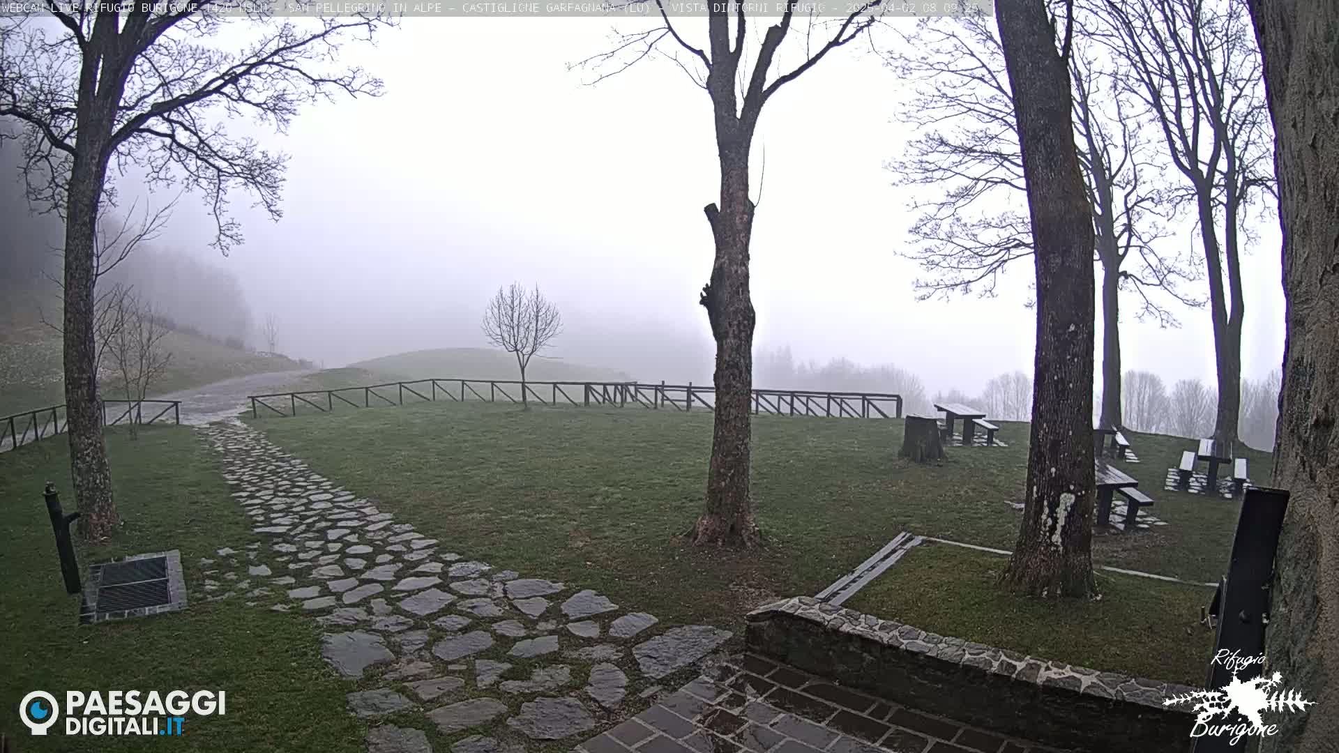 A stone path leads to several picnic tables under bare trees in a misty, outdoor setting.