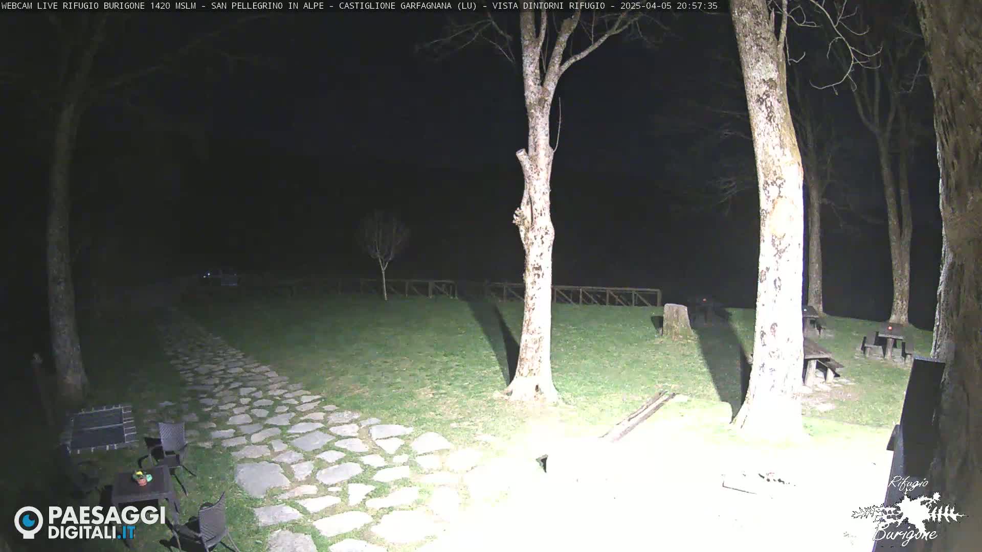 A stone path leads through a grassy area at night, illuminated by artificial light, with several trees and picnic tables visible.