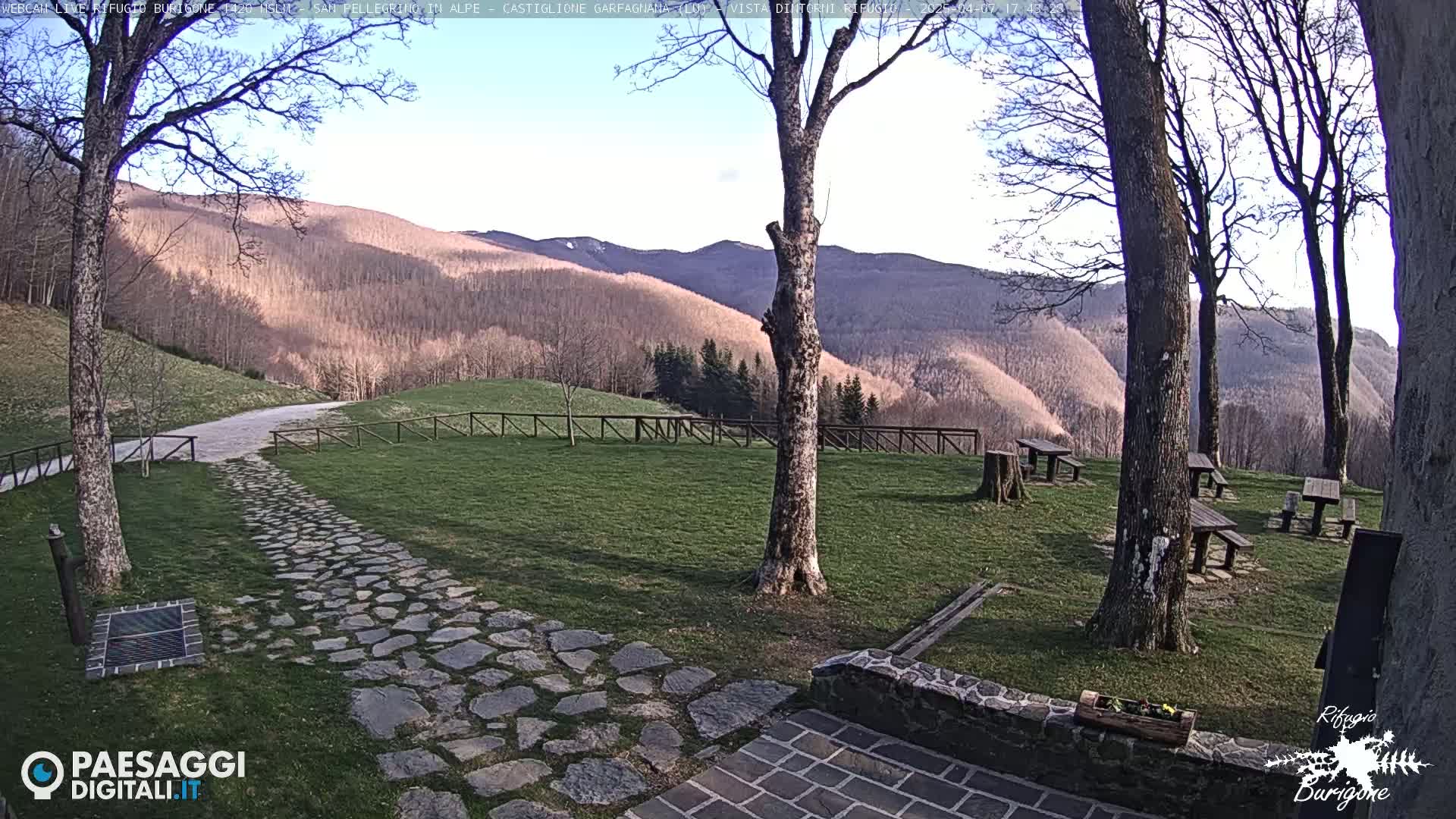 A stone path leads to a grassy area with picnic tables nestled among trees, all overlooking a hillside of bare trees under a mostly clear sky.