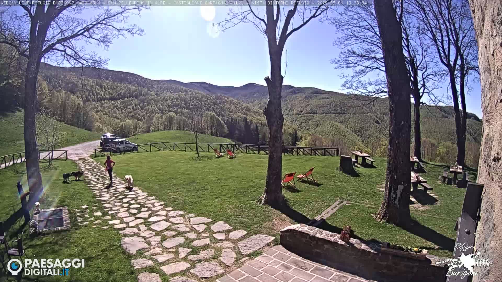 A person walks a stone path with two dogs, past picnic tables and red lounge chairs on a grassy area overlooking a mountain range under a sunny sky.