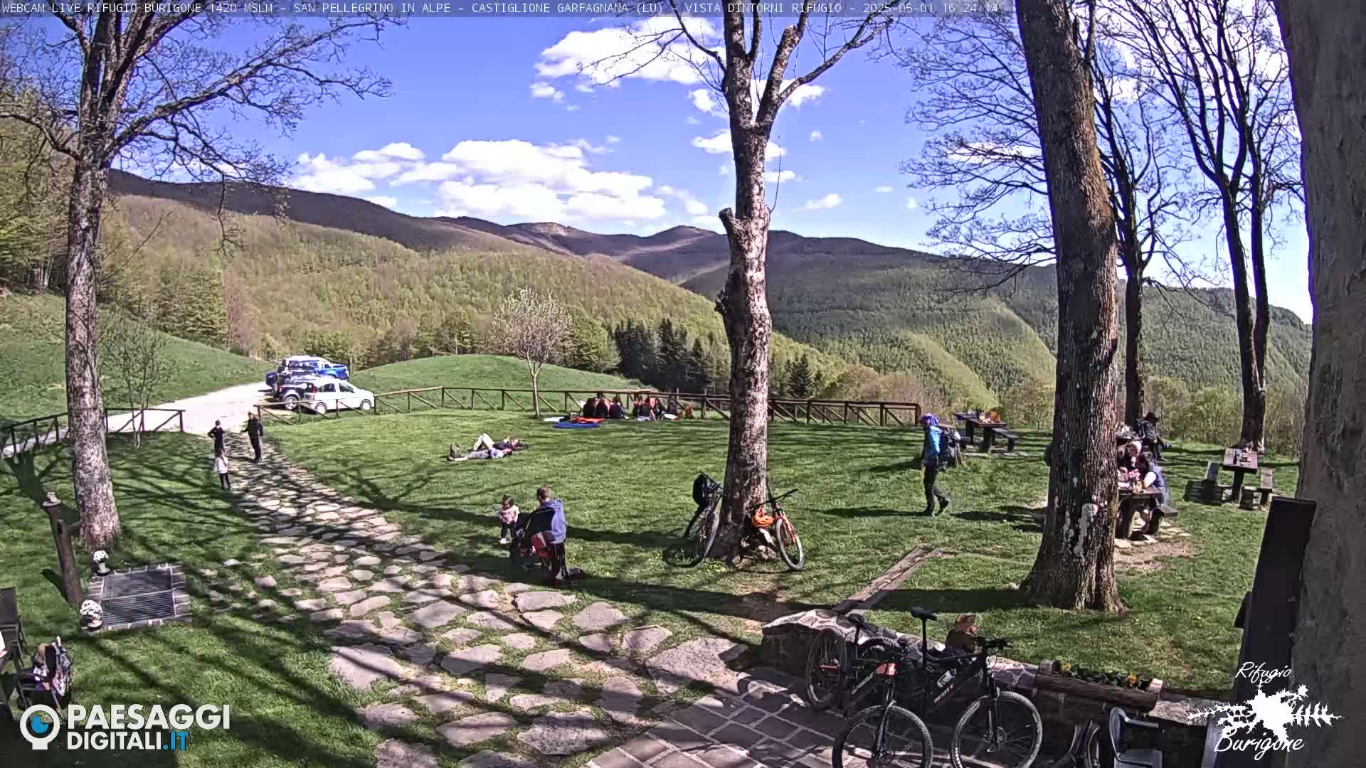 A sunny day in a grassy area with several people sitting at picnic tables and relaxing near some parked cars and bicycles, all set against a backdrop of mountains.