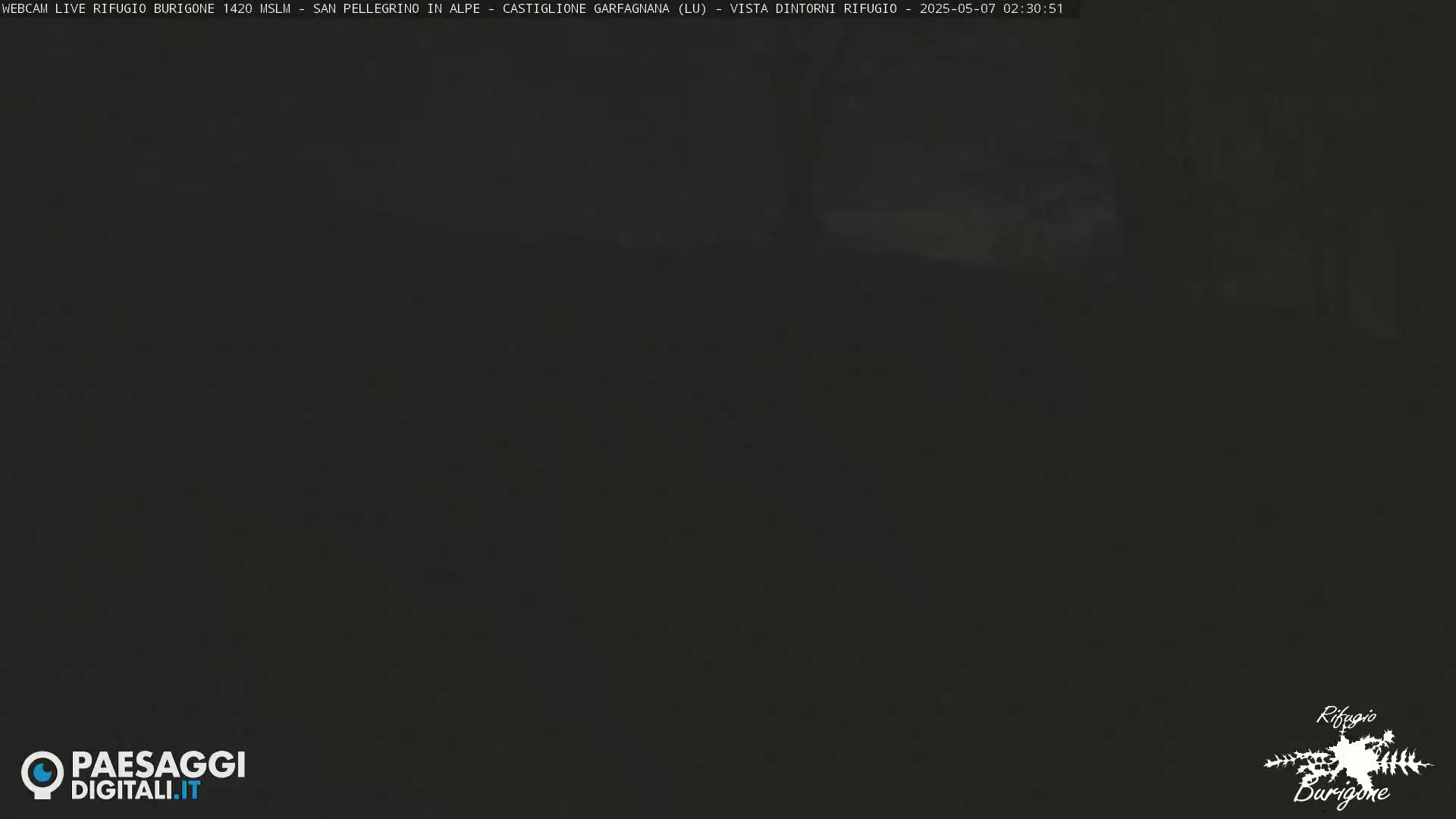 A dark, blurry image shows an outdoor scene at night.