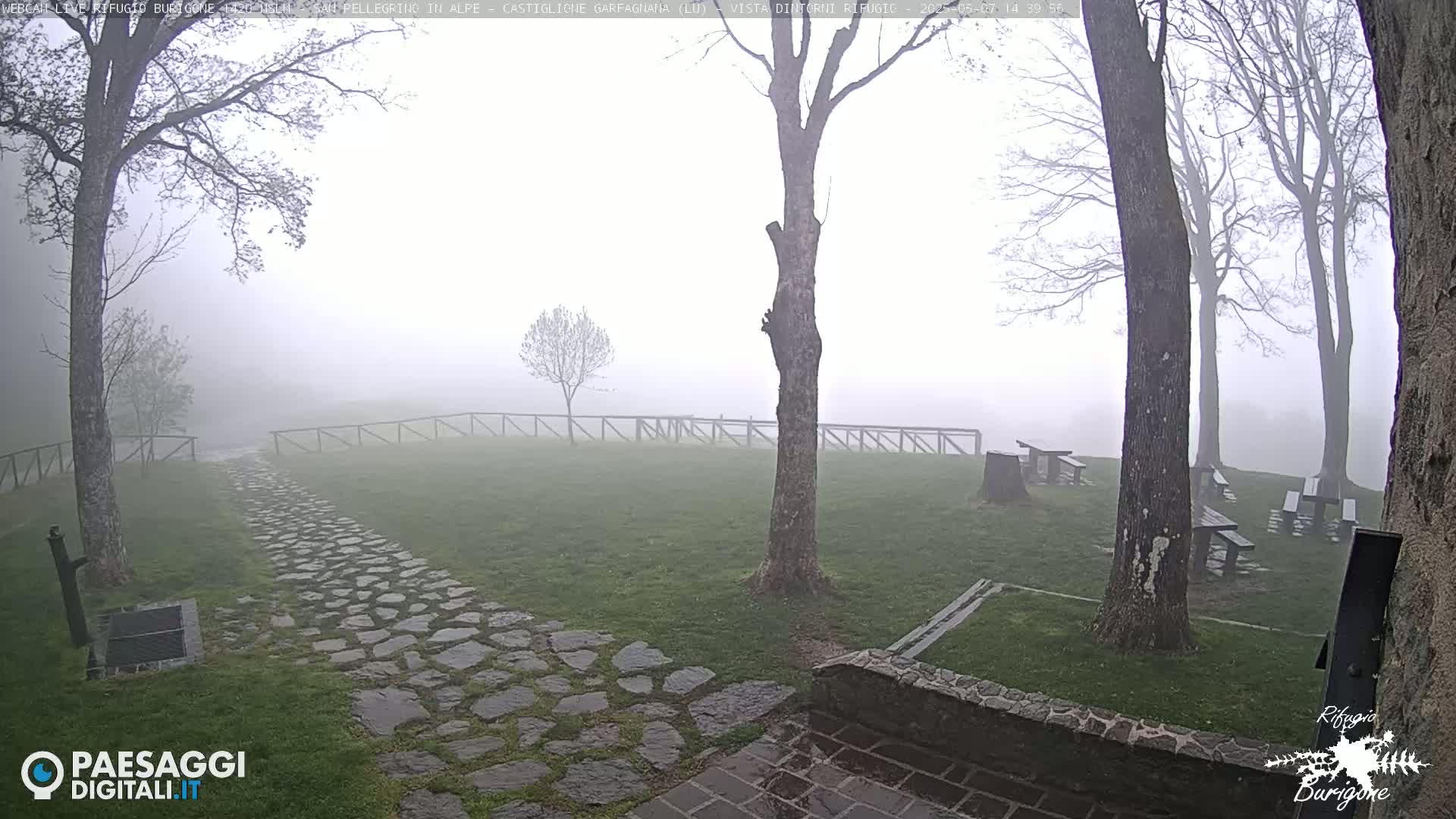A stone path winds through a fog-shrouded grassy area with several picnic tables and trees.