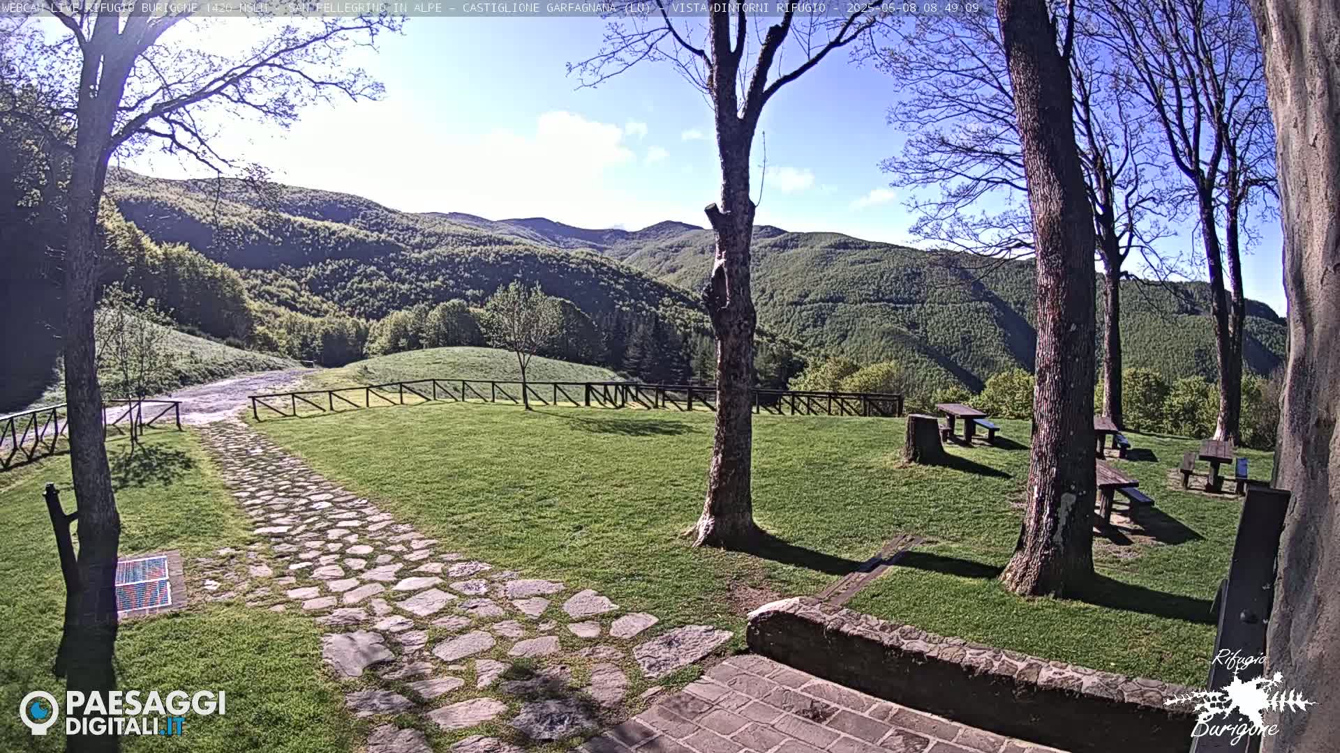 A stone path leads to picnic tables situated on a grassy area overlooking a hillside covered in lush green trees under a mostly sunny sky.