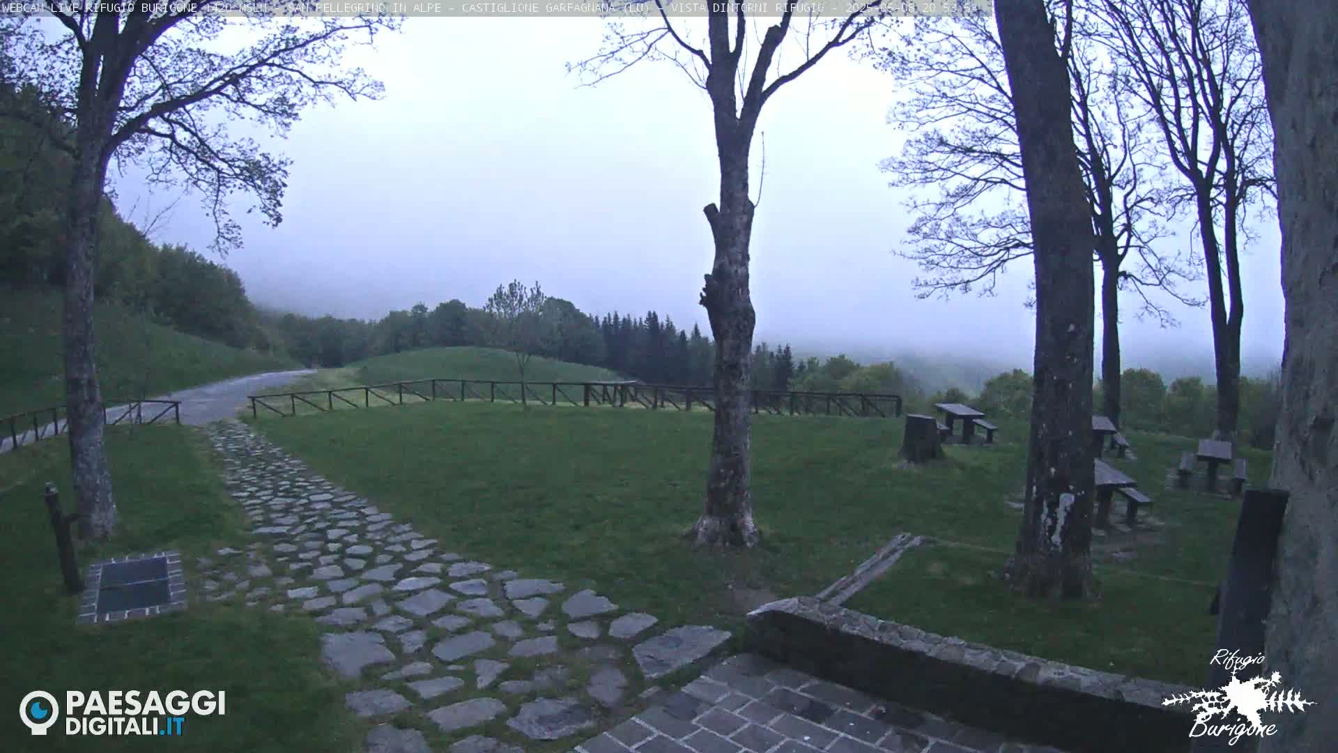 A stone path leads to a grassy area with picnic tables under a misty sky, surrounded by trees and a wooden fence.