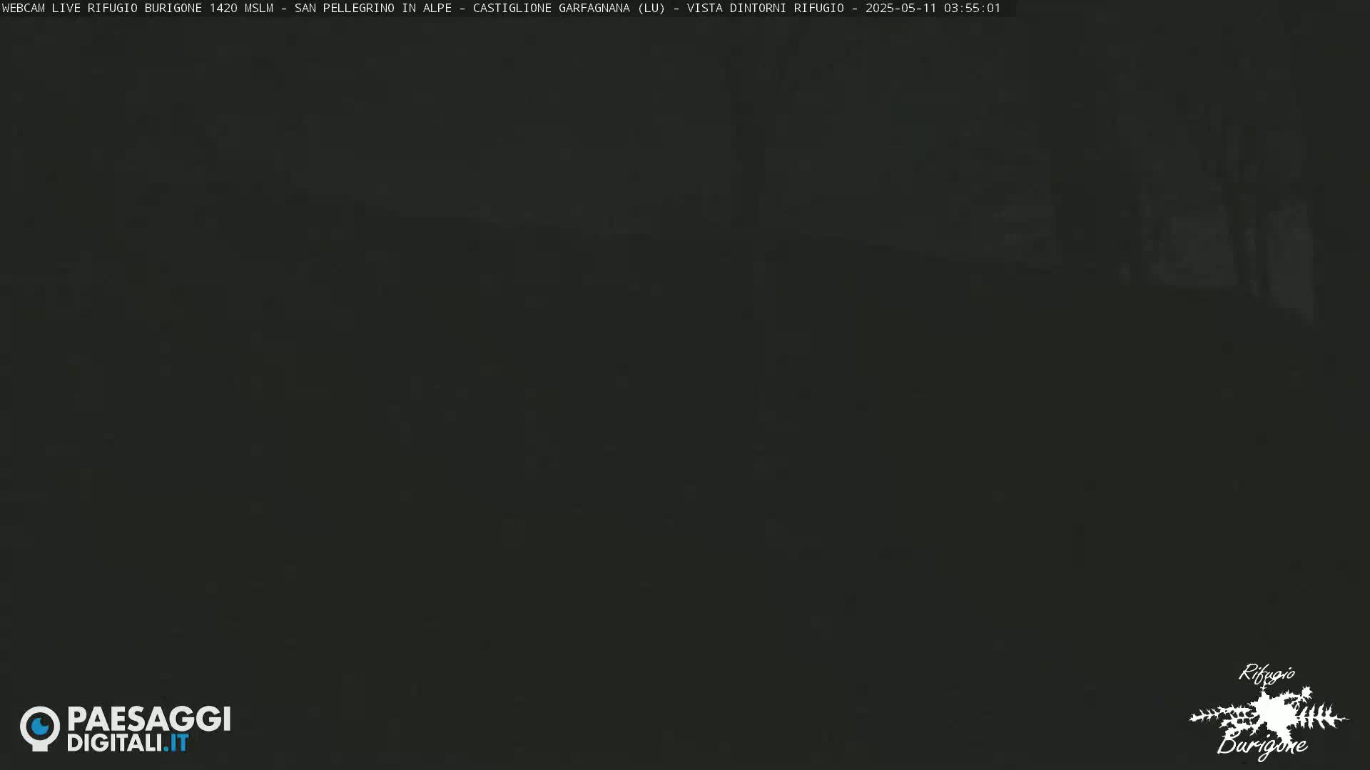 A dark, nighttime image shows an indistinguishable outdoor scene.