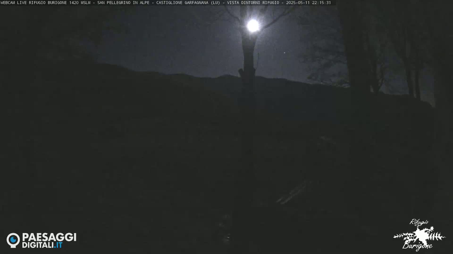 A bright moon illuminates a dark, nighttime landscape featuring silhouetted trees and hills.