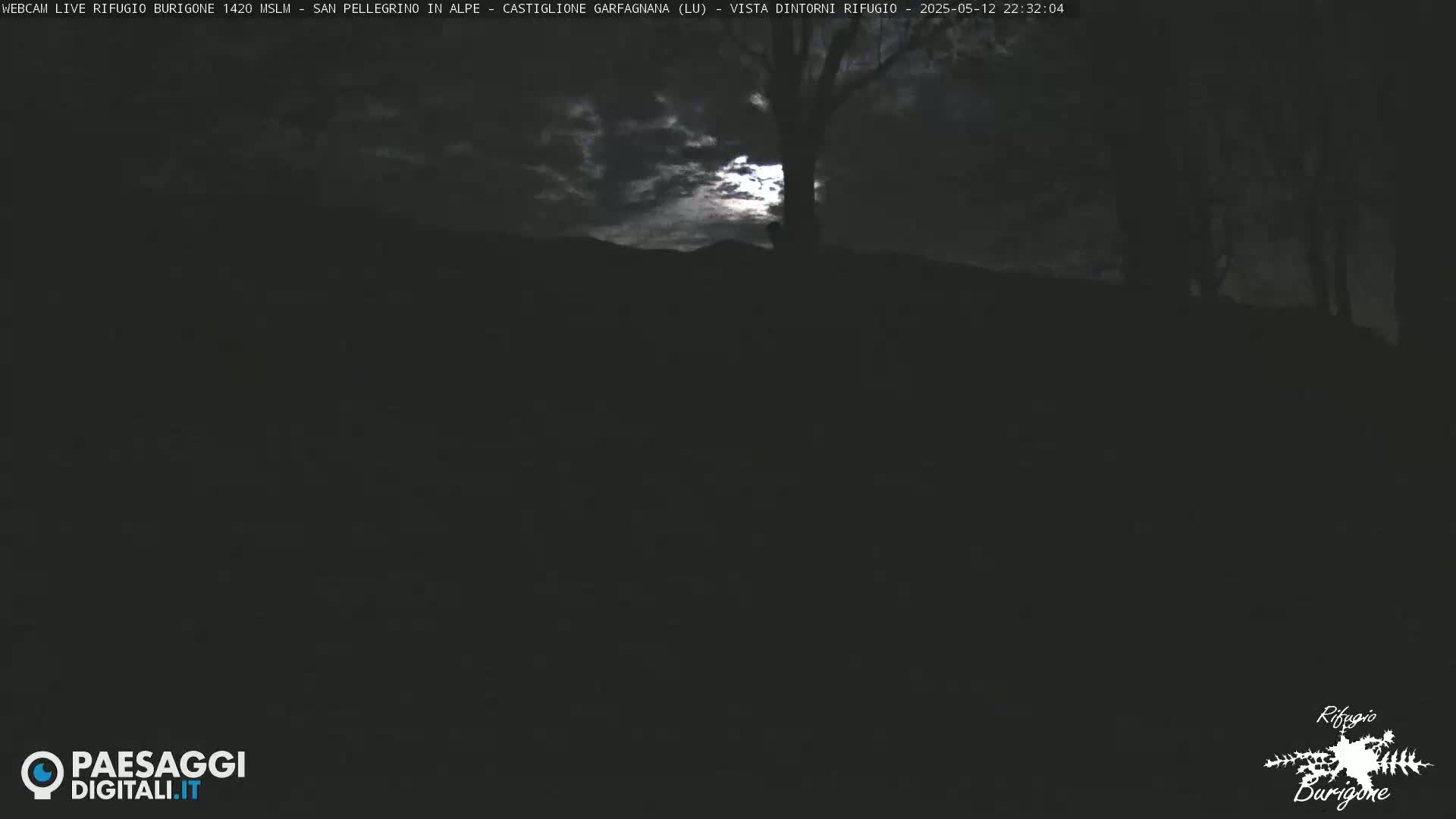 A nighttime, dark landscape with a partially visible moon and a silhouetted tree under a cloudy sky.