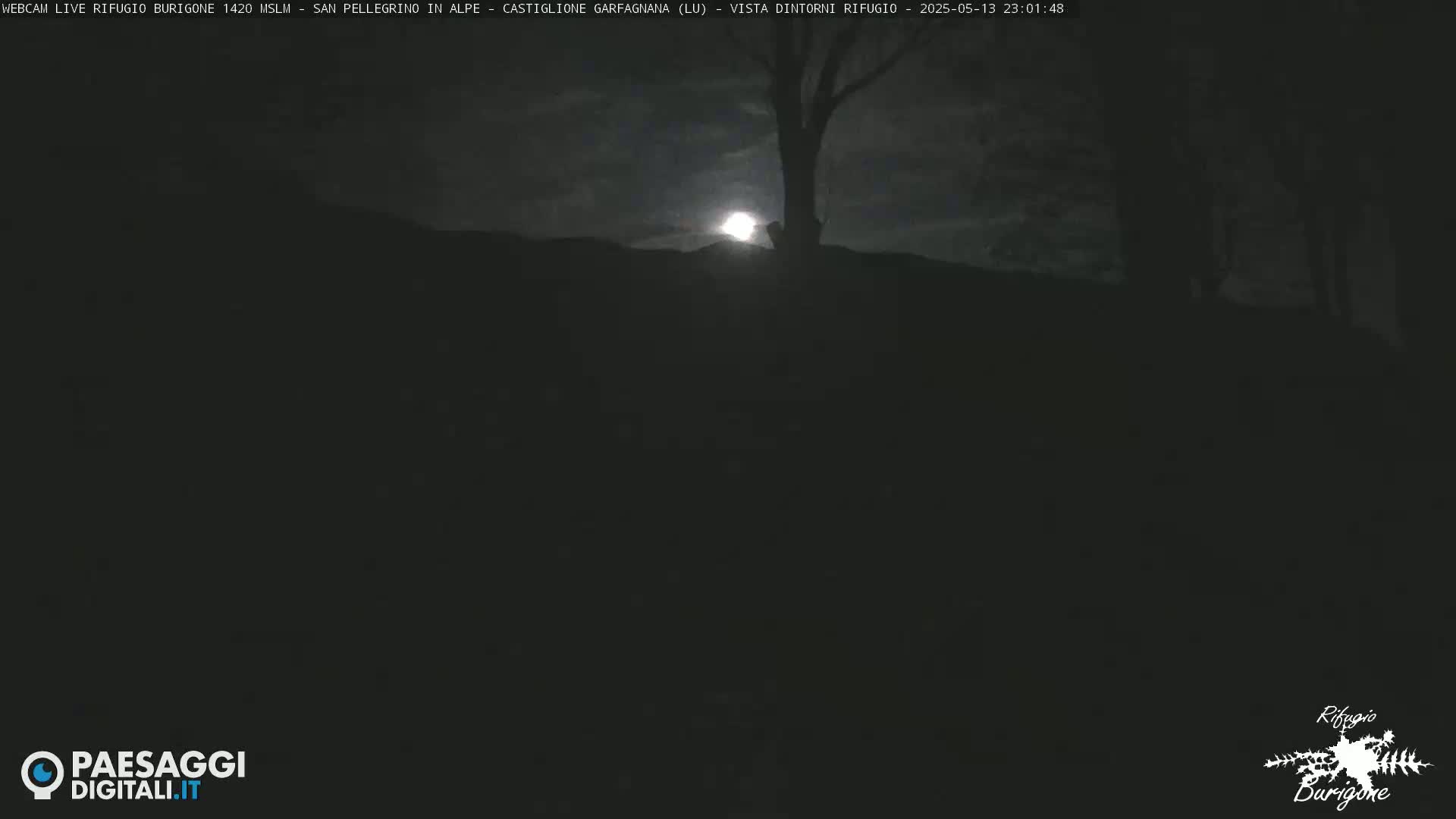 A bright moon shines over a dark, mountainous landscape at night, partially obscured by a silhouetted tree.