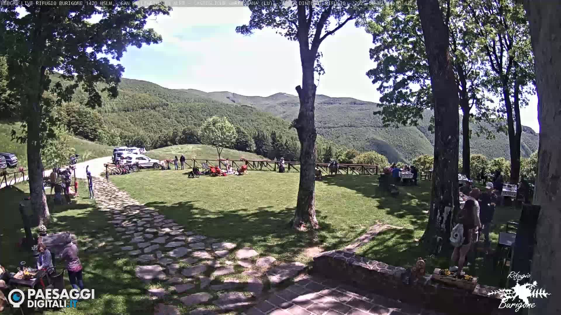 A sunny outdoor scene shows a grassy area with people gathered around tables, a stone pathway, several parked cars, and a forested mountain in the background.