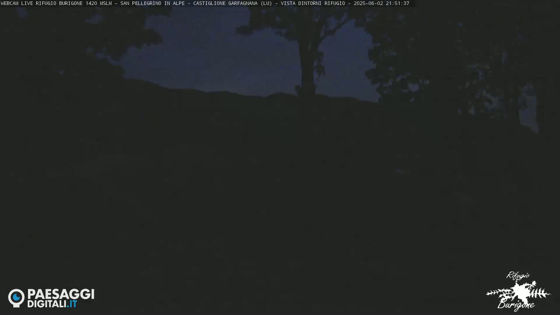 A dark, nighttime outdoor scene shows a silhouetted tree and distant hills under a mostly clear sky.