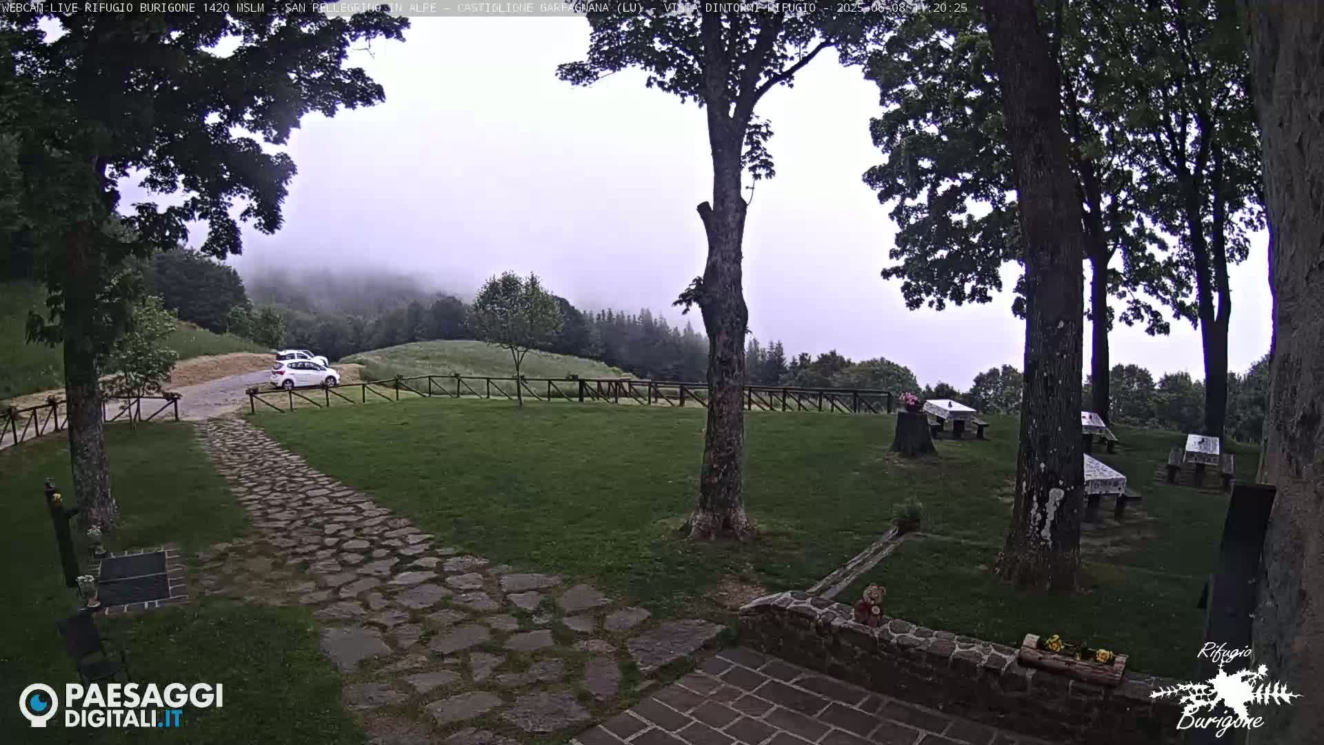 A stone path leads to a grassy area with picnic tables under trees, two cars parked nearby, and a misty, overcast sky in the background.