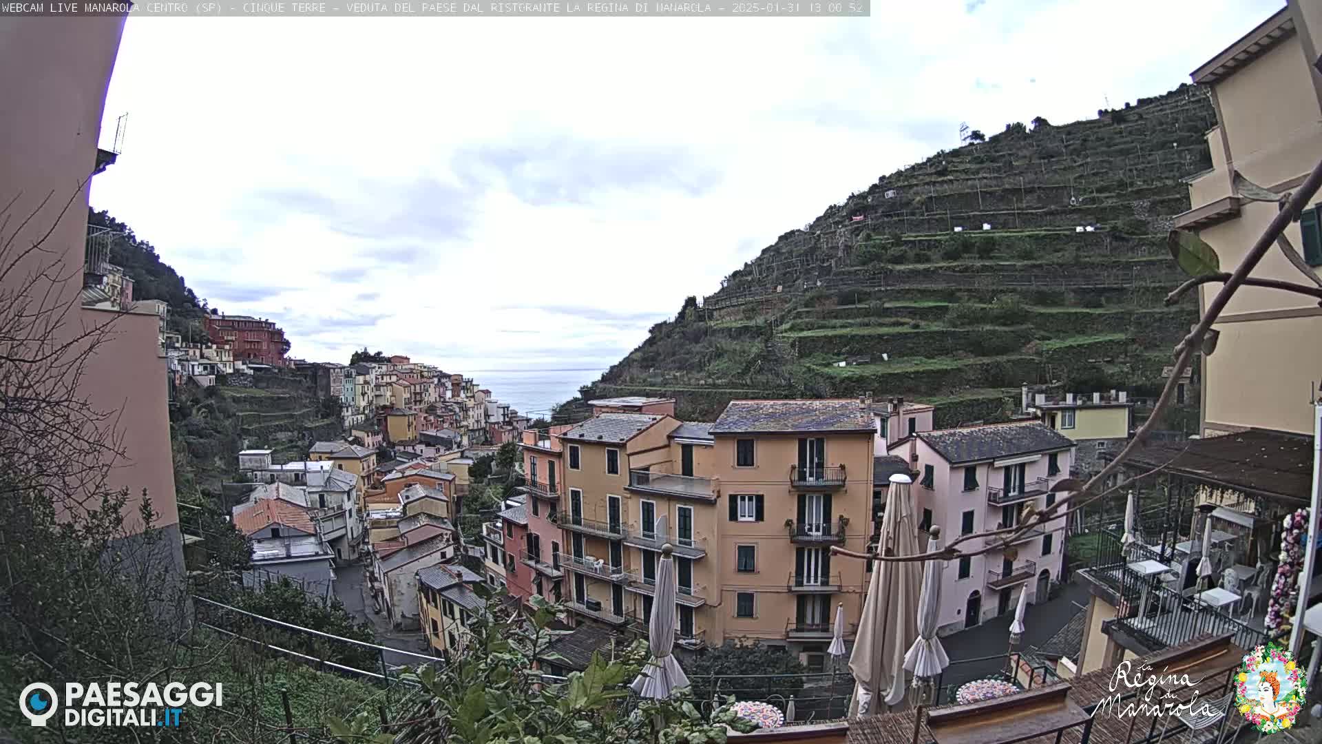 A hillside village with colorful buildings overlooks a calm sea under an overcast sky.