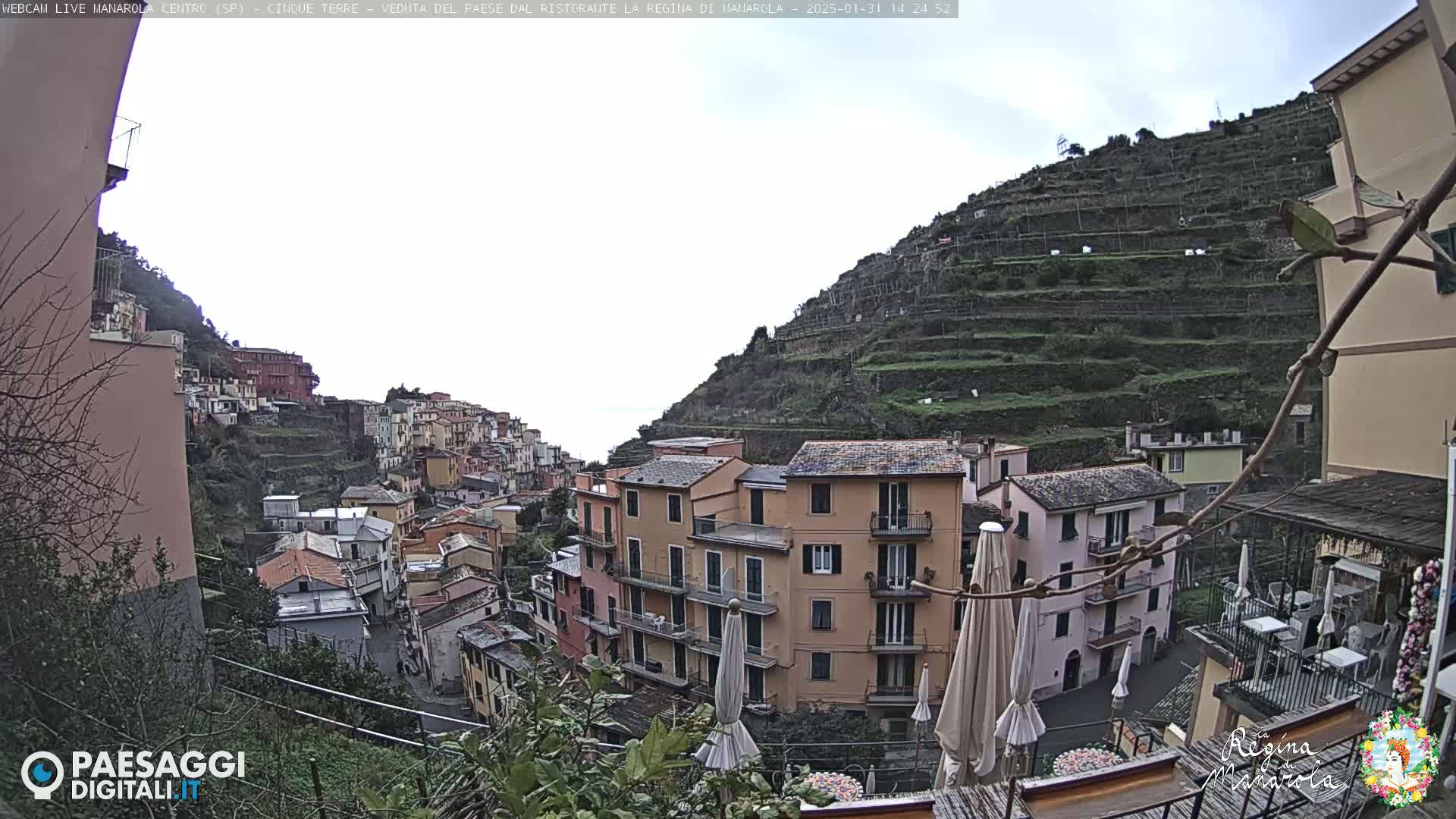 A hillside village with multi-story buildings, terraced farmland, and overcast skies is viewed from a slightly elevated position.