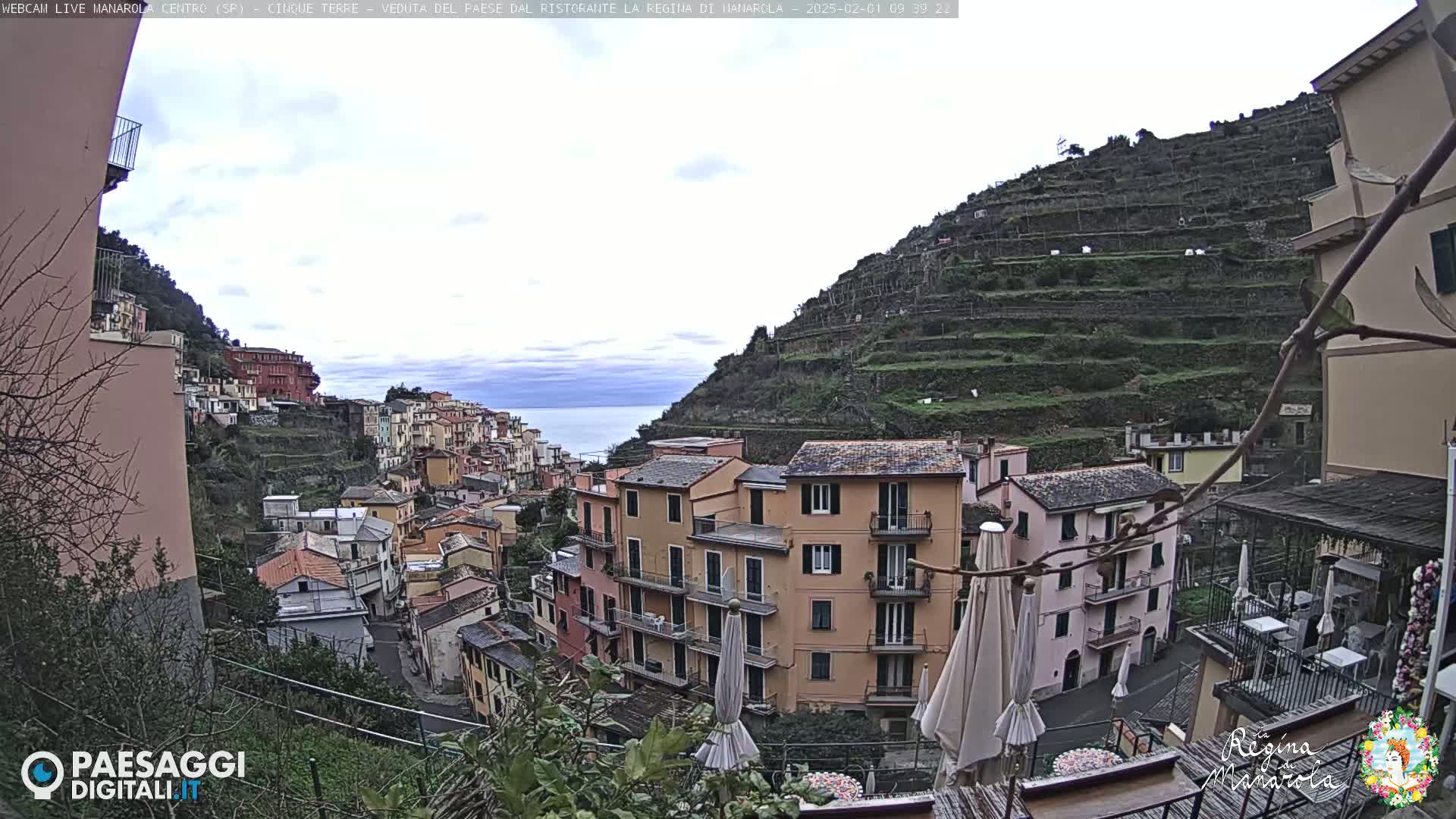 A hillside village overlooking the sea on an overcast day, with terraced vineyards ascending a steep slope behind colorful buildings.