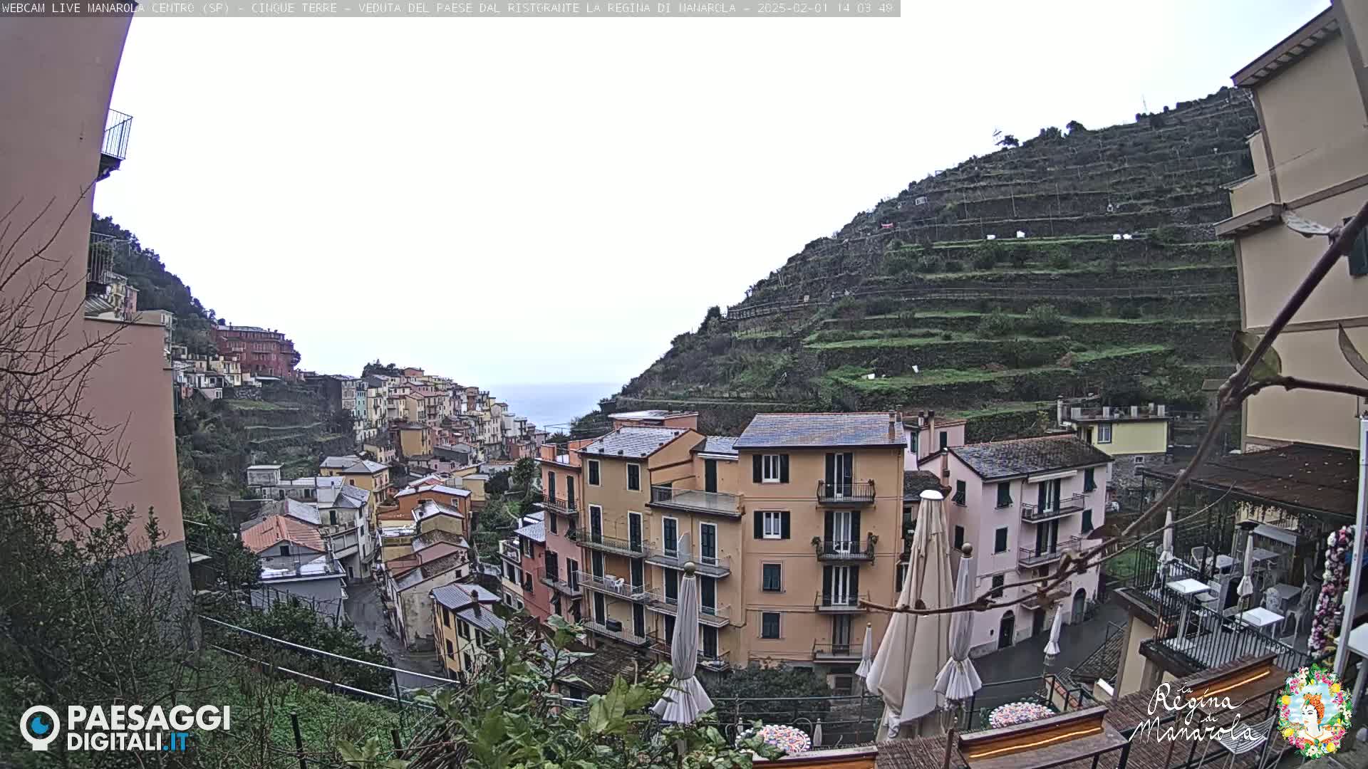 A hillside village with colorful buildings and terraced vineyards overlooks the sea under an overcast sky.