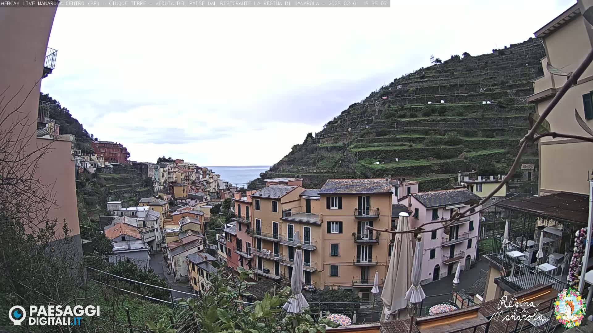 A coastal village clings to a hillside under an overcast sky, terraced vineyards rising above colorful buildings that descend toward a calm sea.