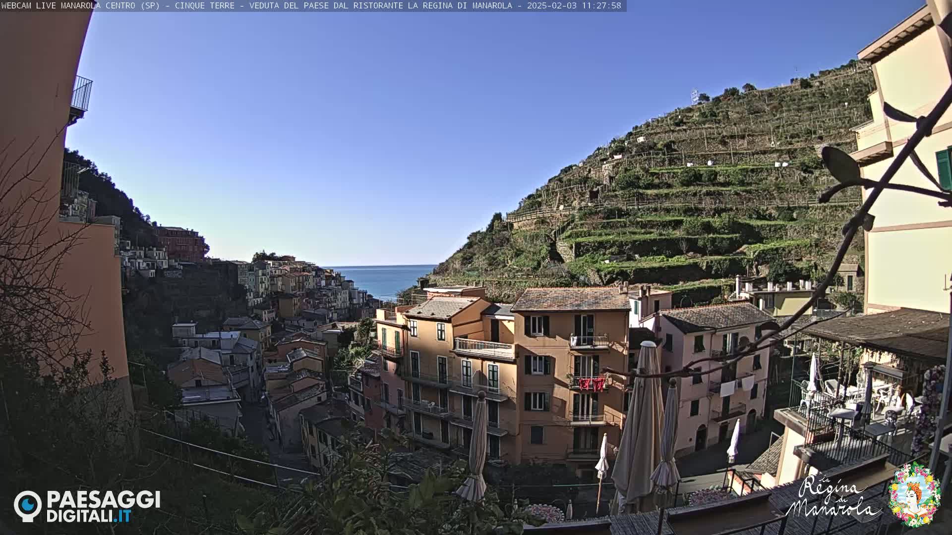 A sunny view of a colorful Italian village built on a hillside overlooking the sea, with terraced vineyards visible above the buildings.