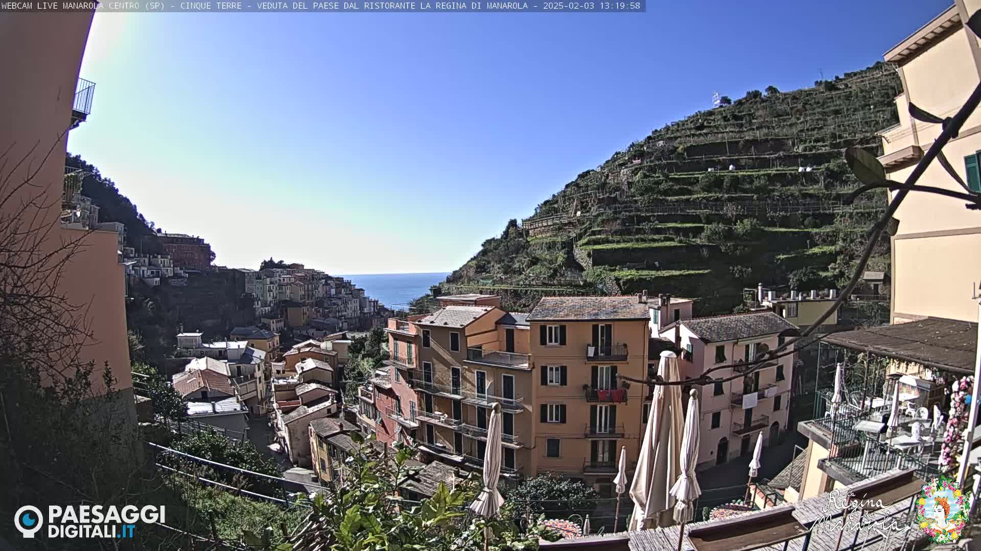 A sunny coastal town nestled on a hillside, with terraced vineyards climbing the slopes behind colorful buildings, overlooks a calm sea.