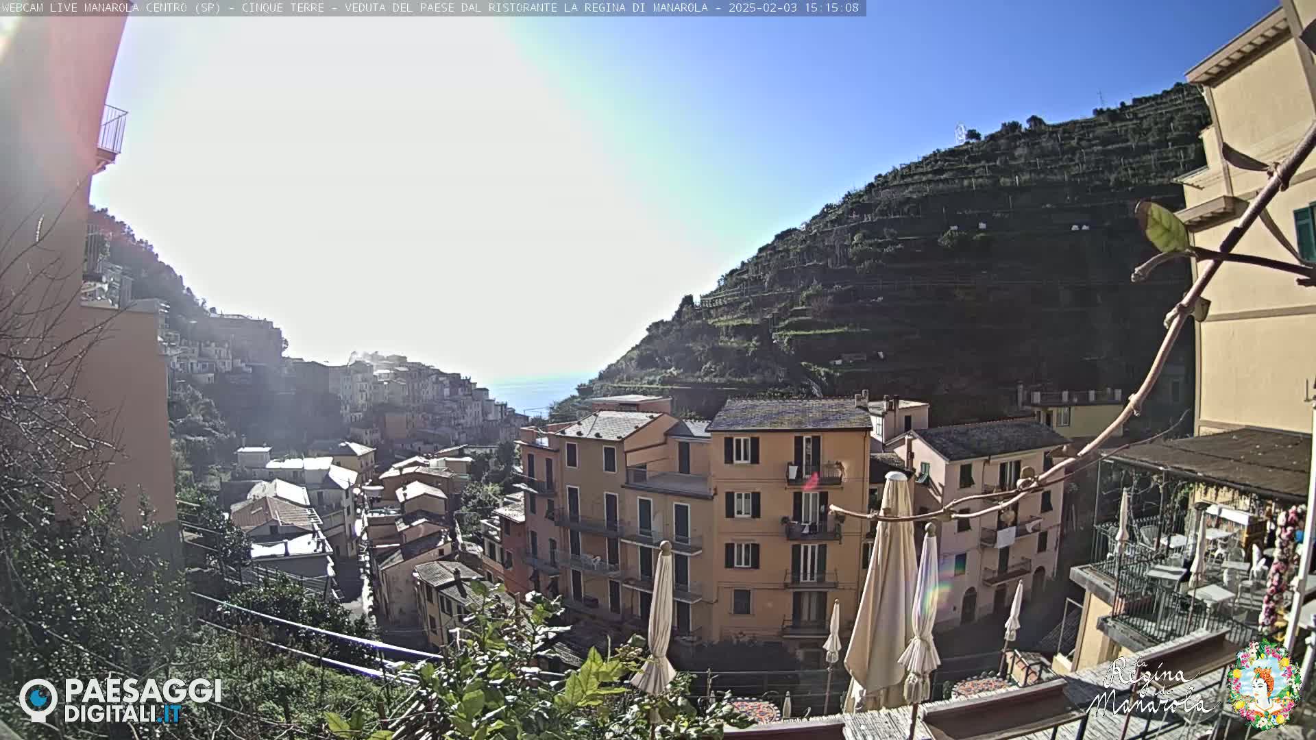 A sunny view of a hillside village with terraced vineyards, colorful buildings, and patio umbrellas.